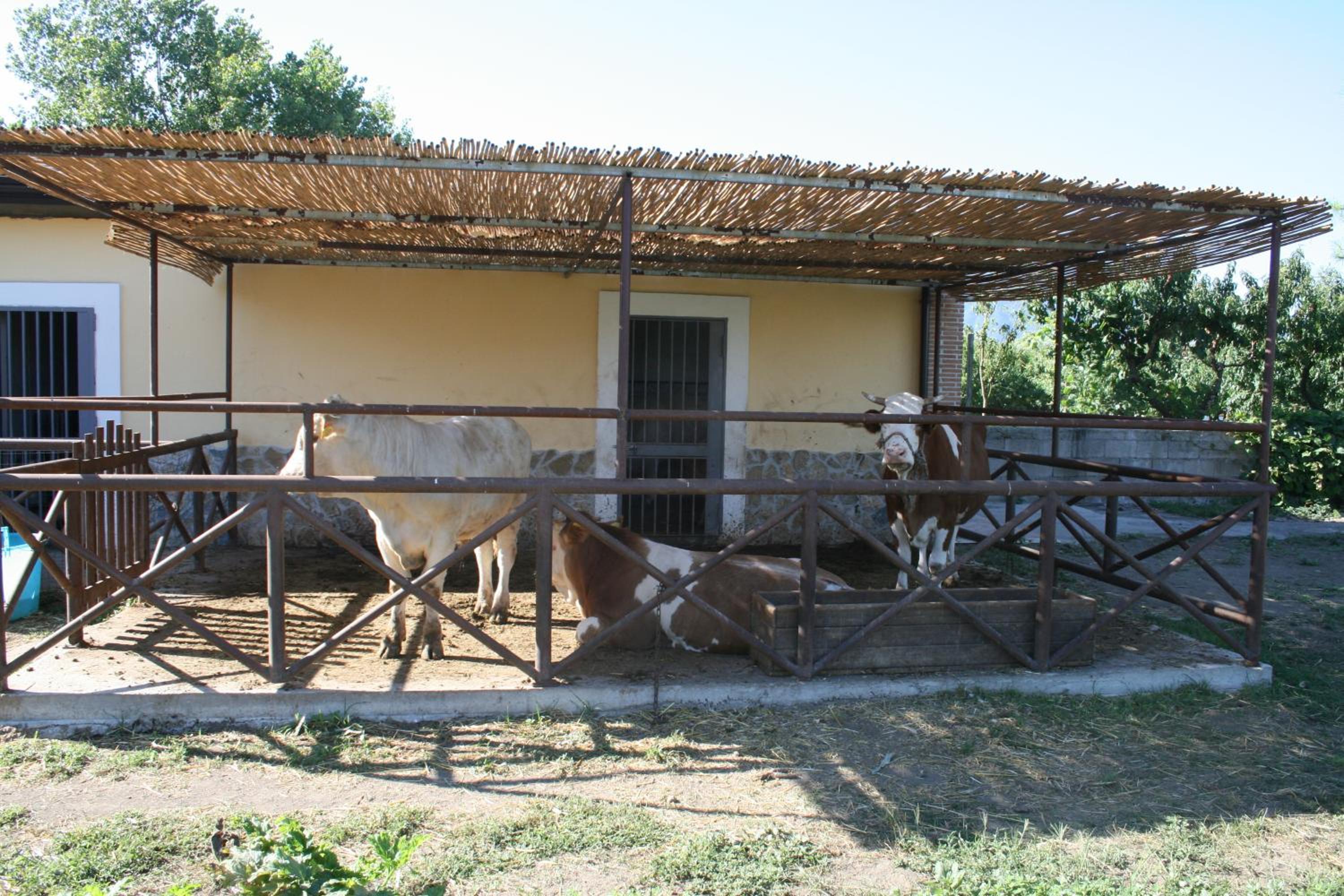 Azienda Agrituristica Vivi Natura