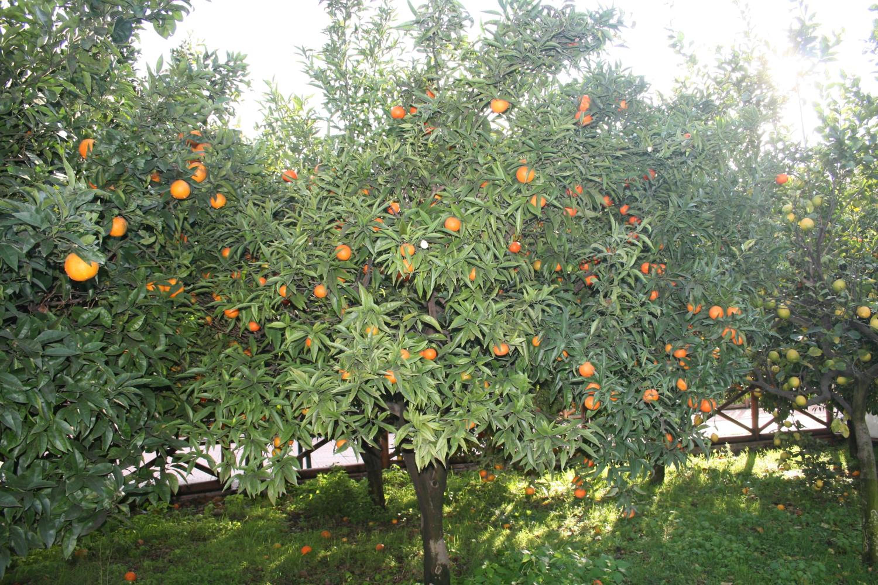 Azienda Agrituristica Vivi Natura