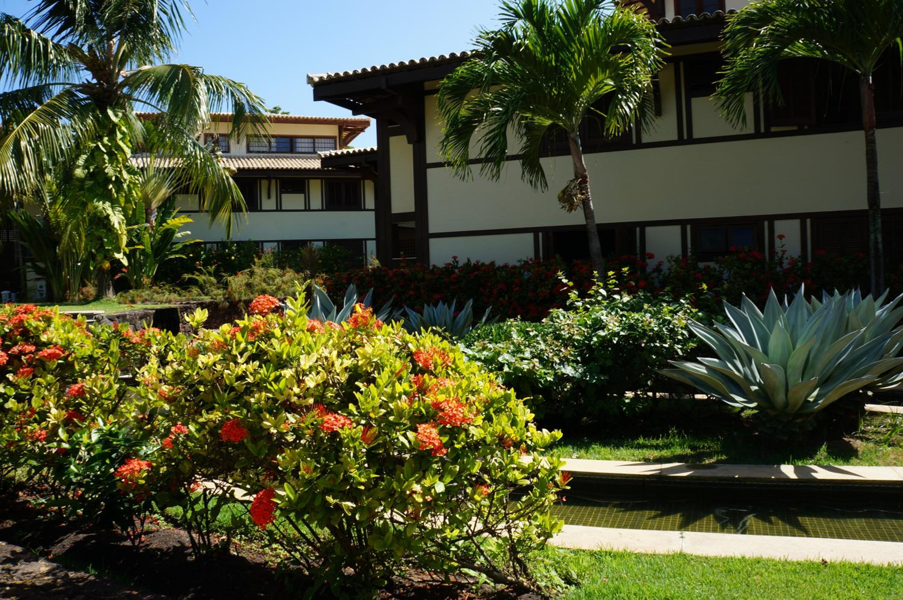 Bali Bahia Exclusivo
