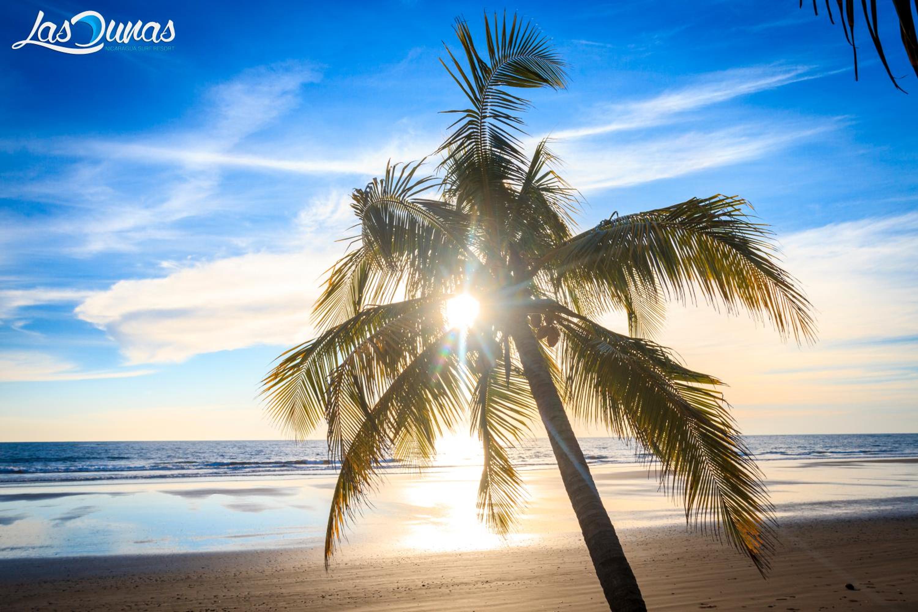 Las Dunas Surf Resort