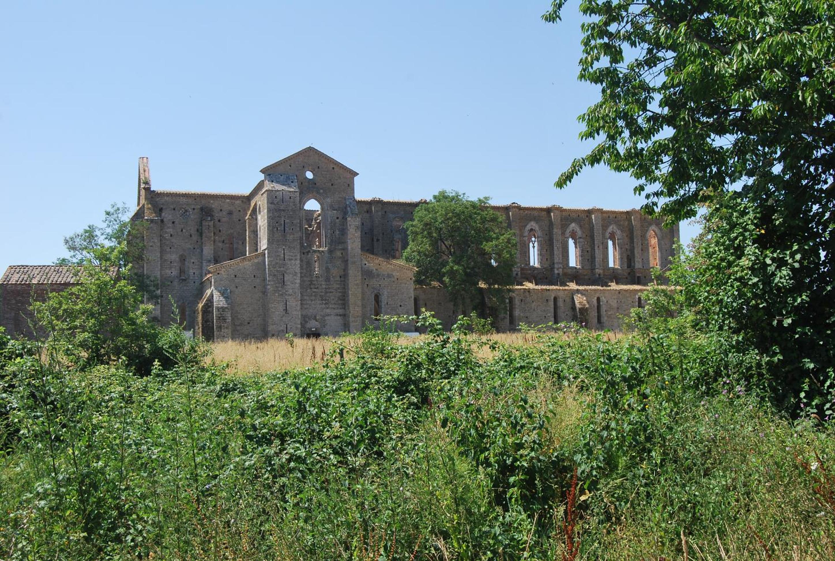 Photo 12