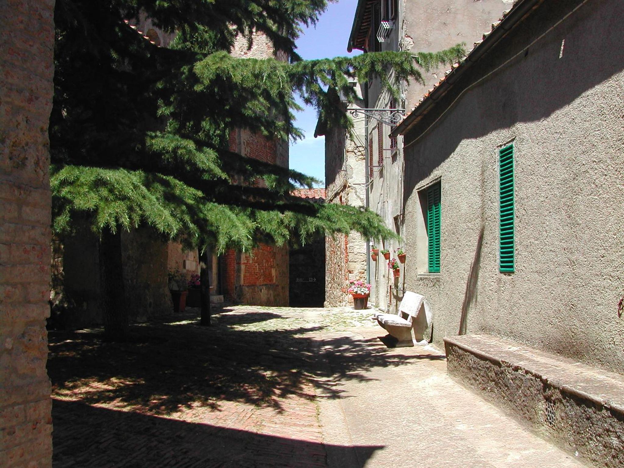 Photo 22
