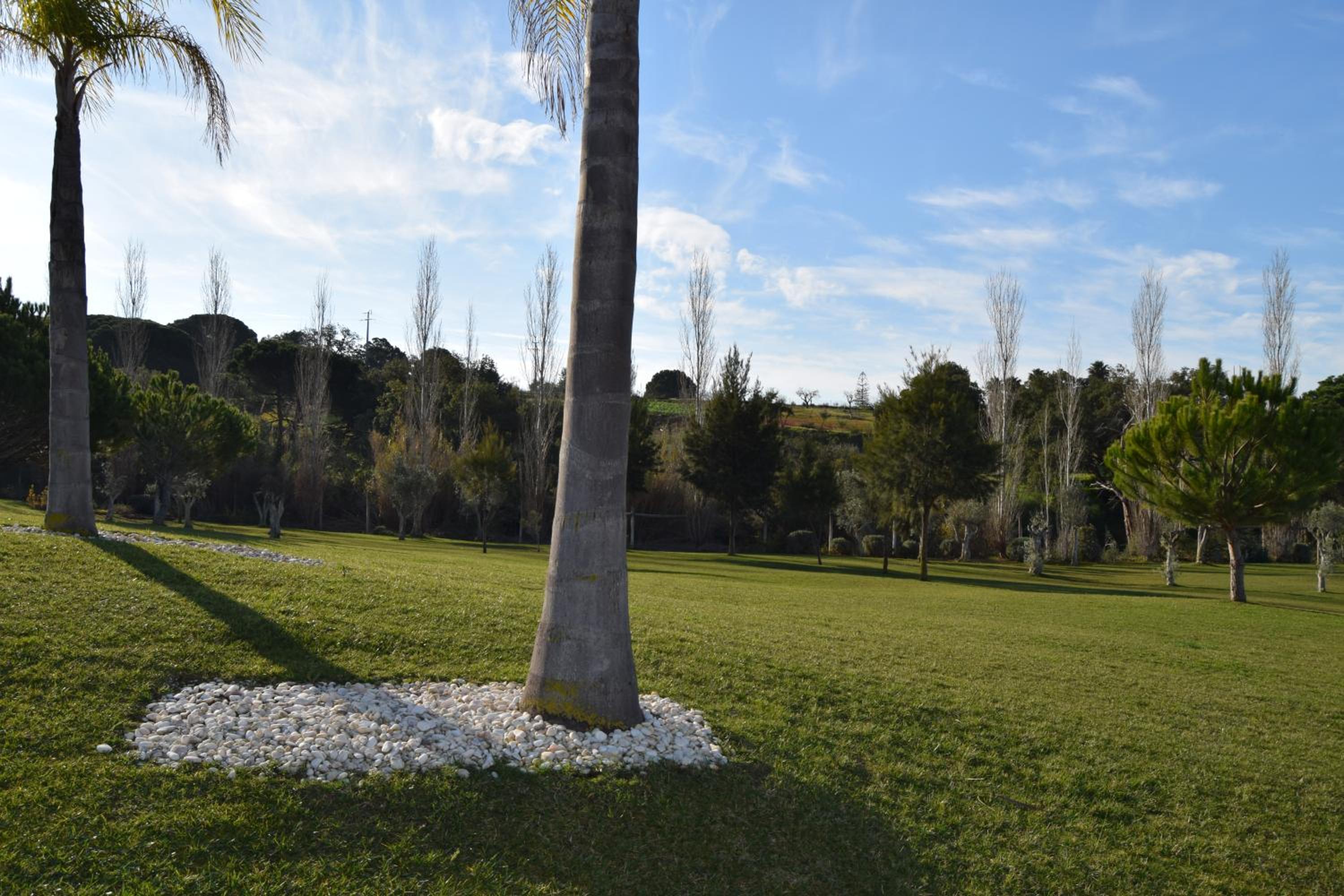 Vila Branca view 3