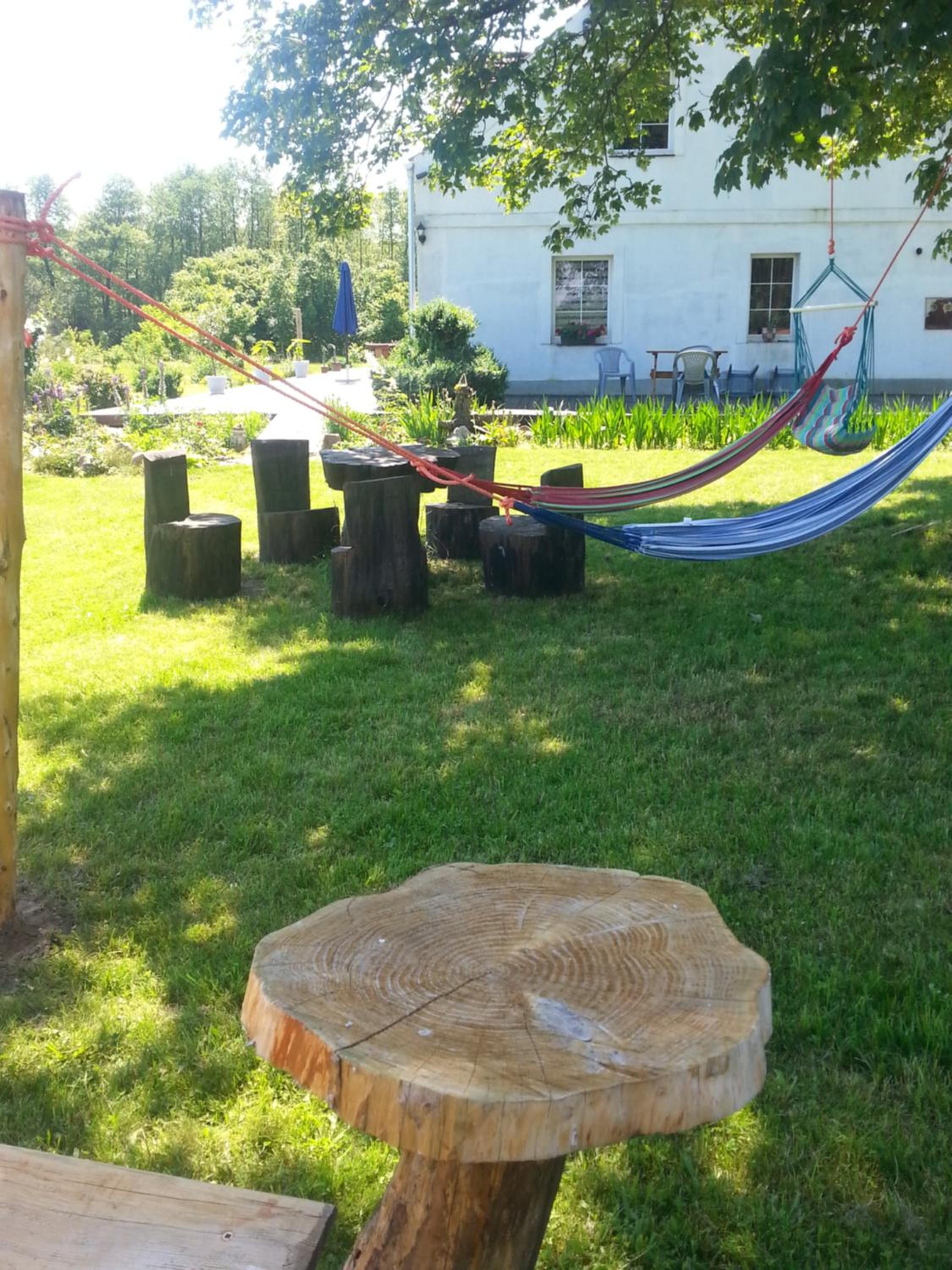 Photo 44