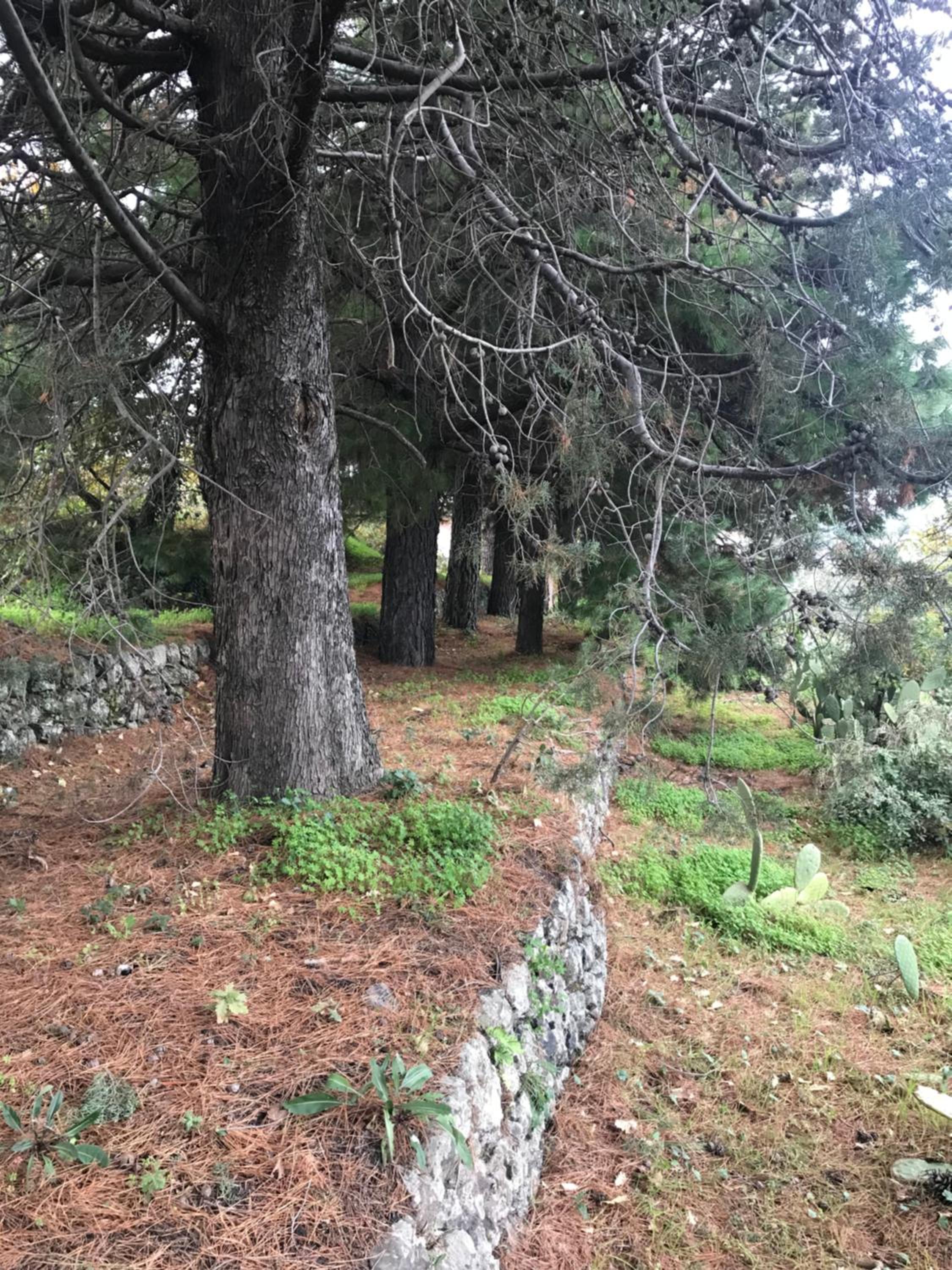 Casa Vacanze Etna view 3