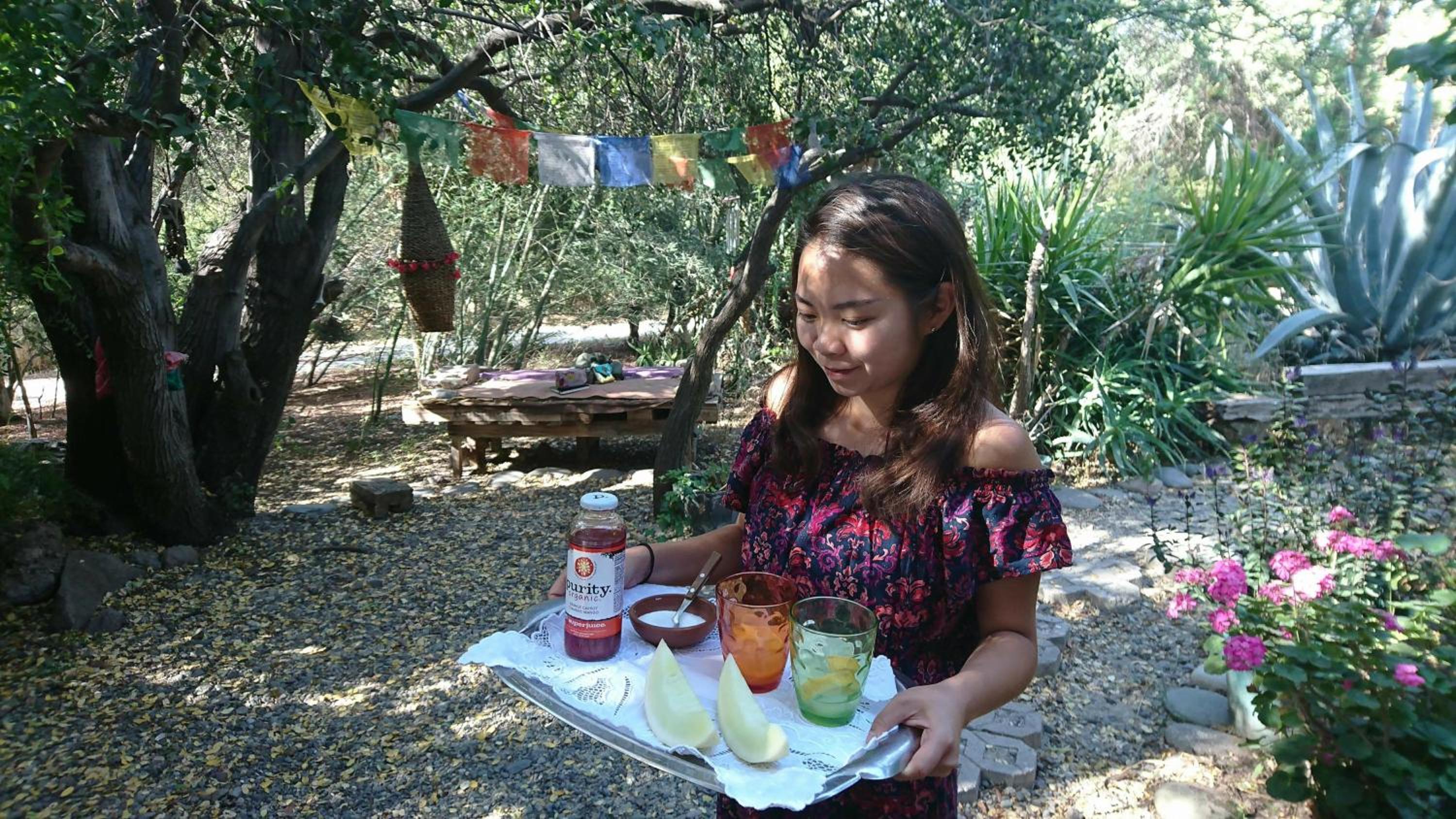 Maipo Shanti Lodge