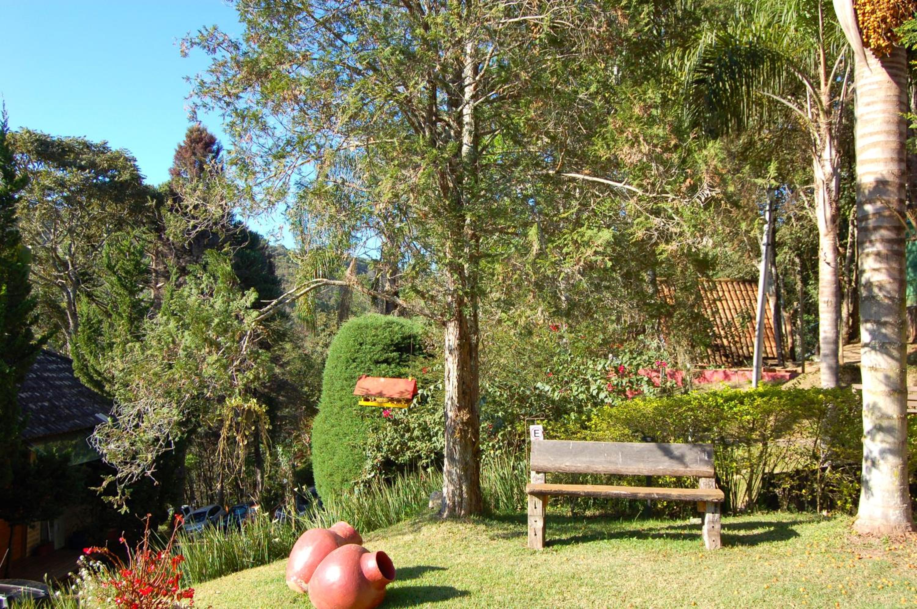 Pássaro de Fogo