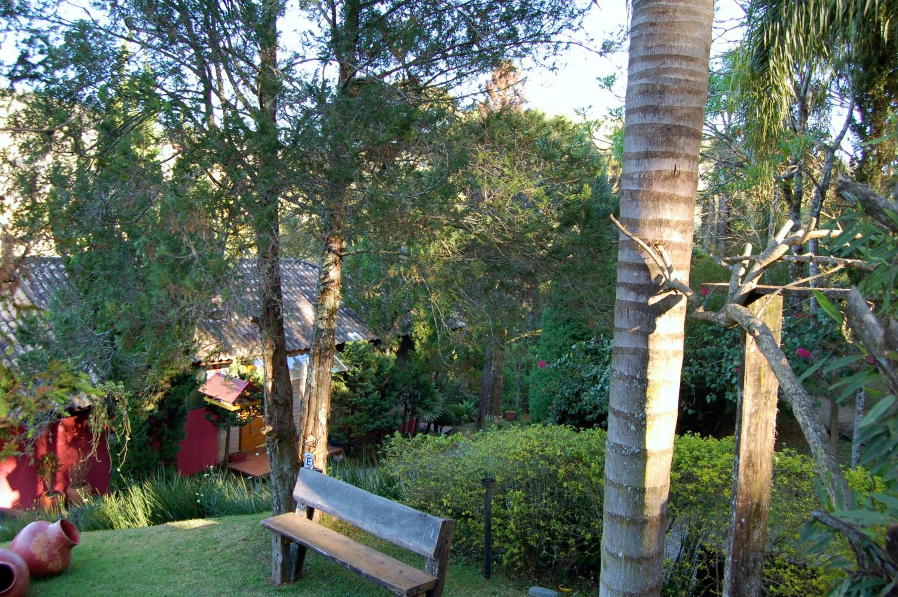 Pássaro de Fogo