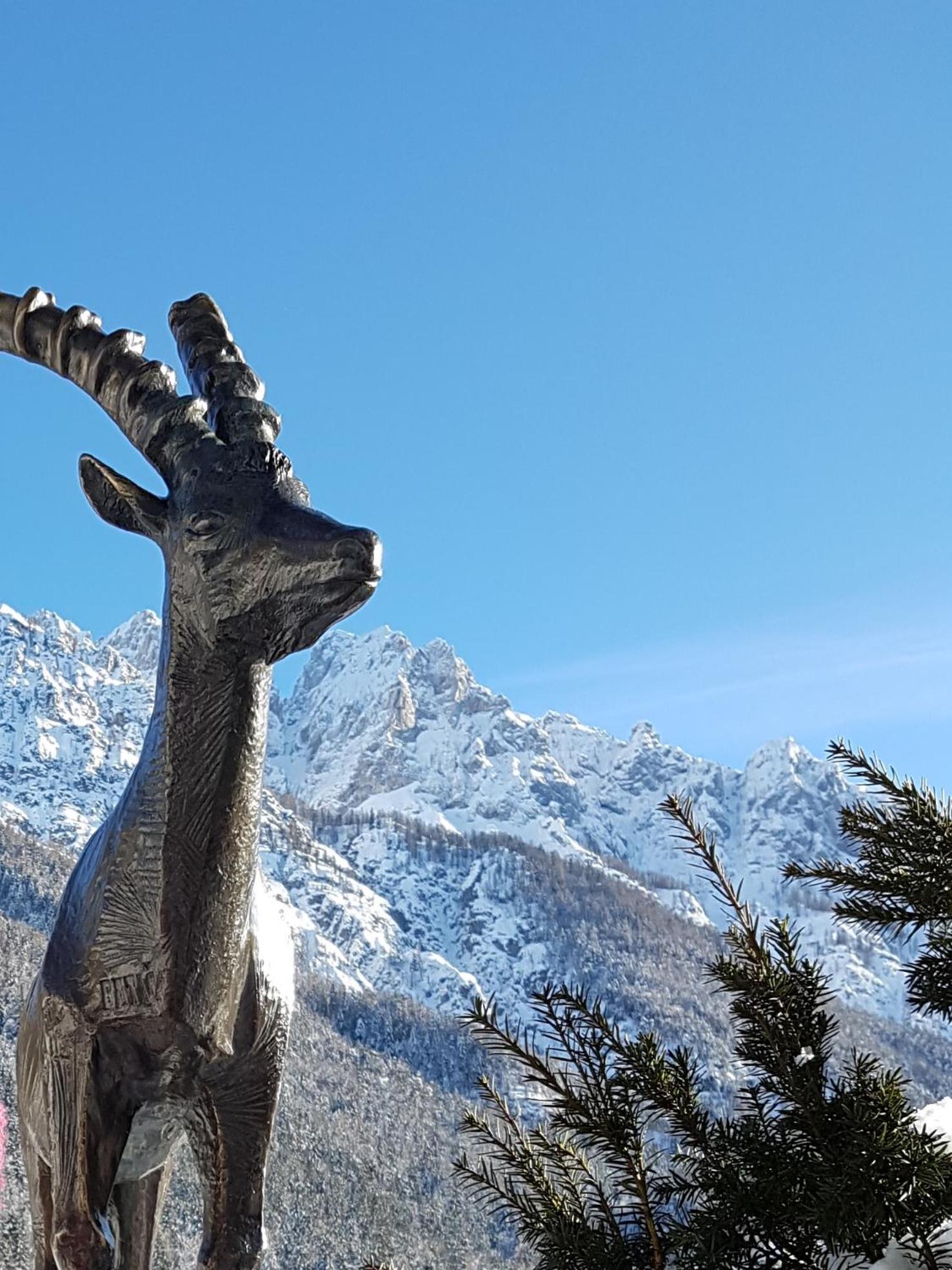 Nigritella en Kranjska Gora
