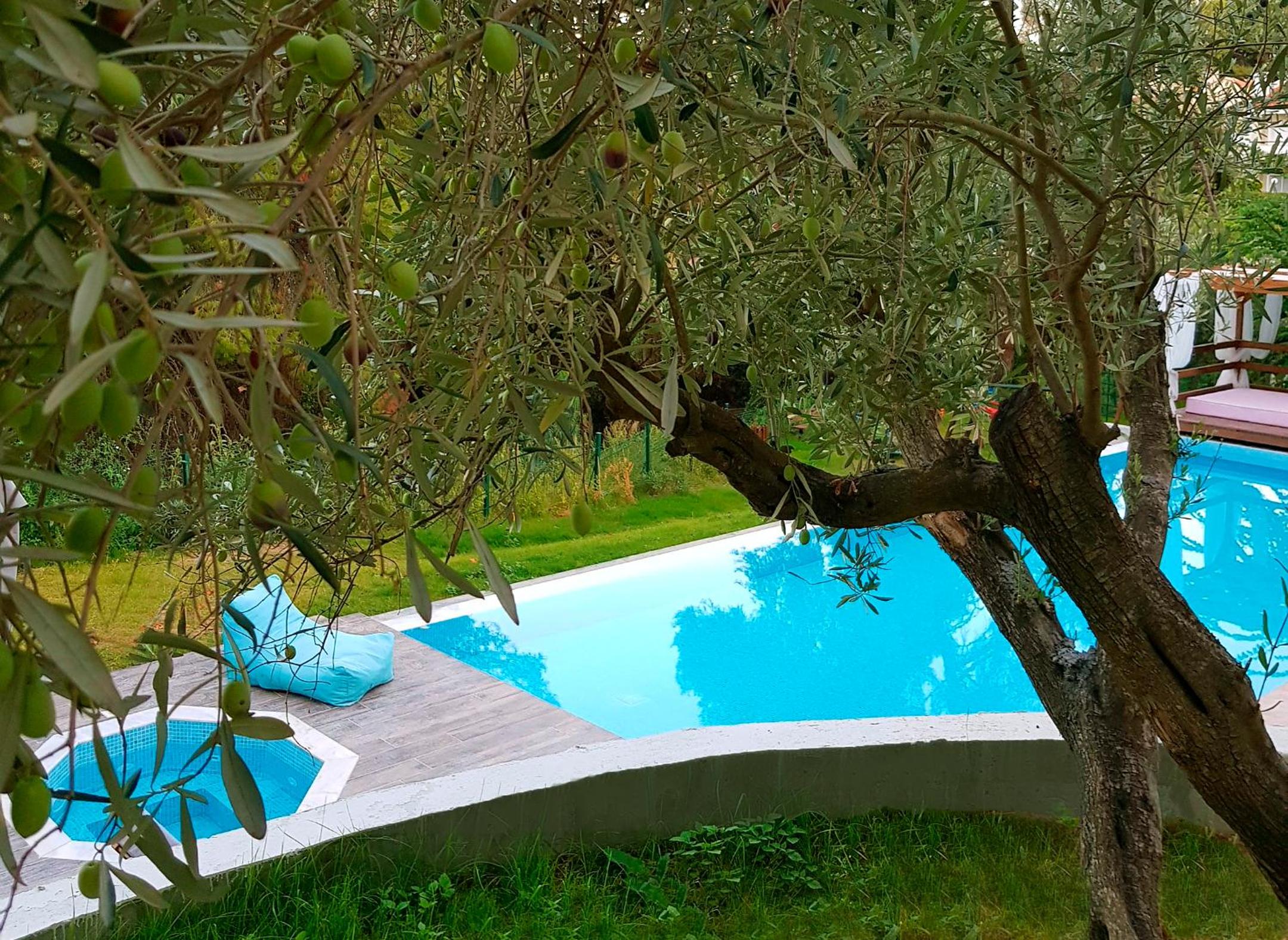 Avatel Eco Lodge