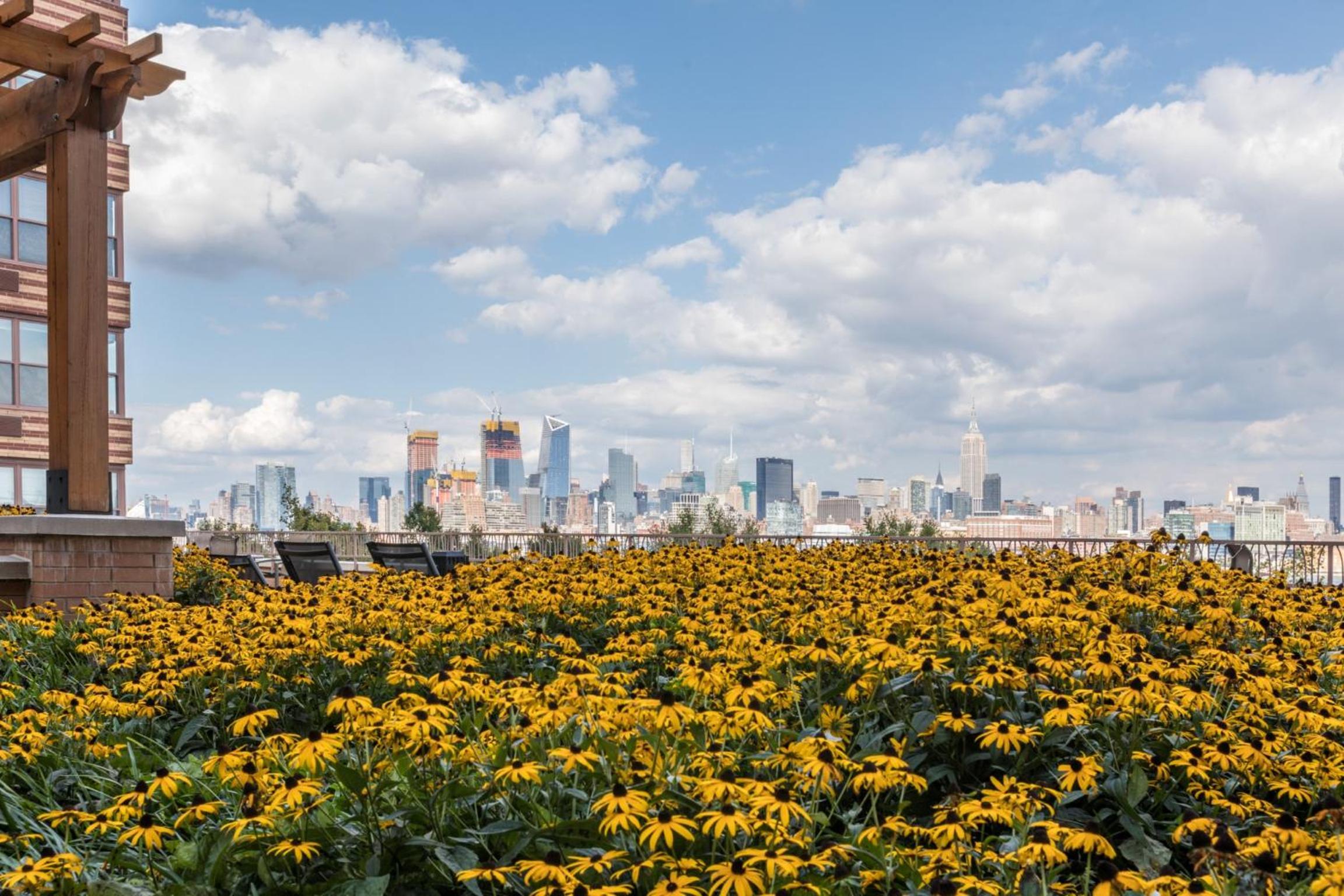 Global Luxury Suites at Hoboken Waterfront