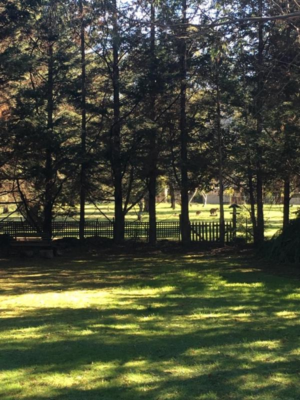 Sunburst Retreat