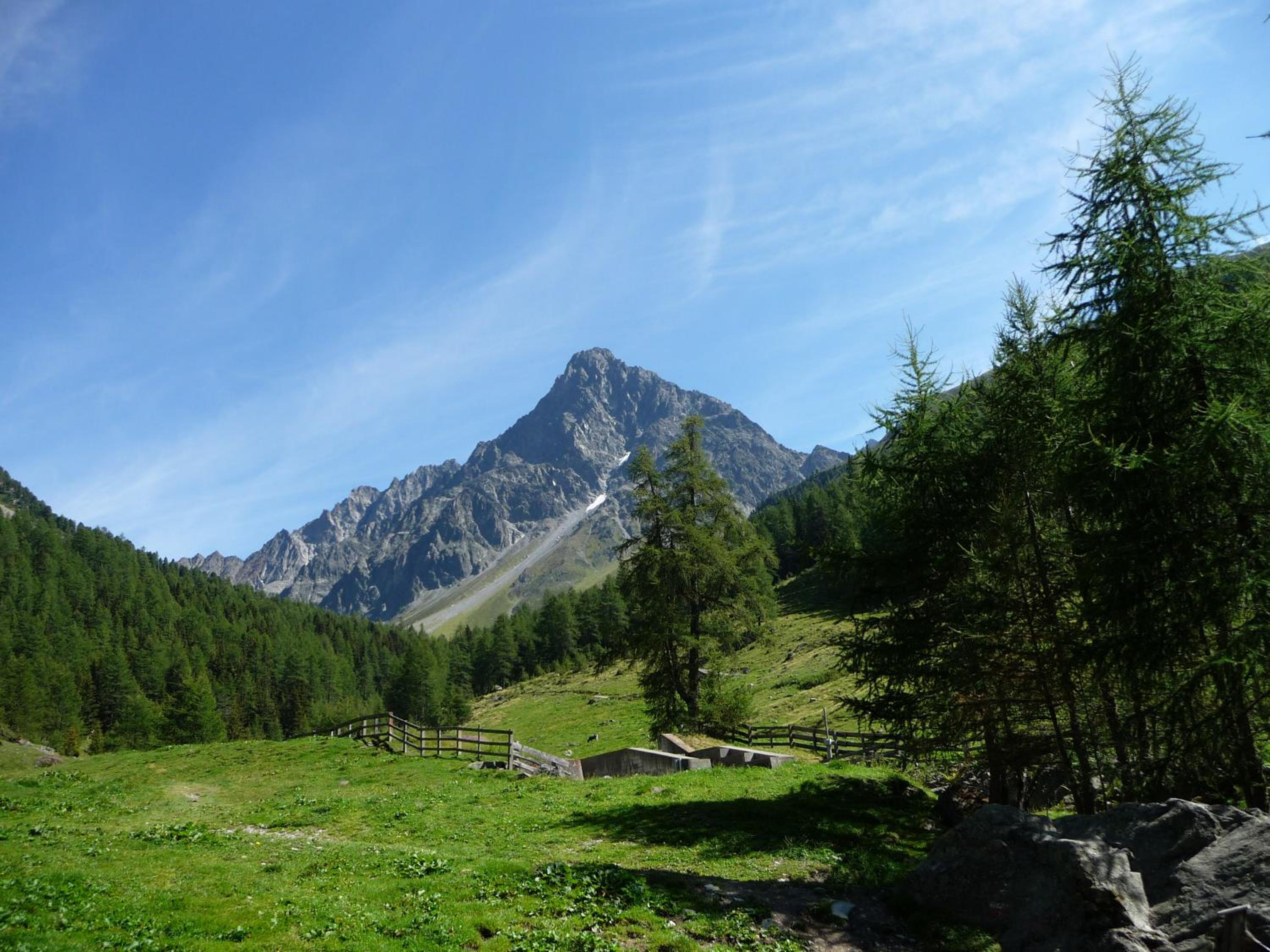 Photo 11