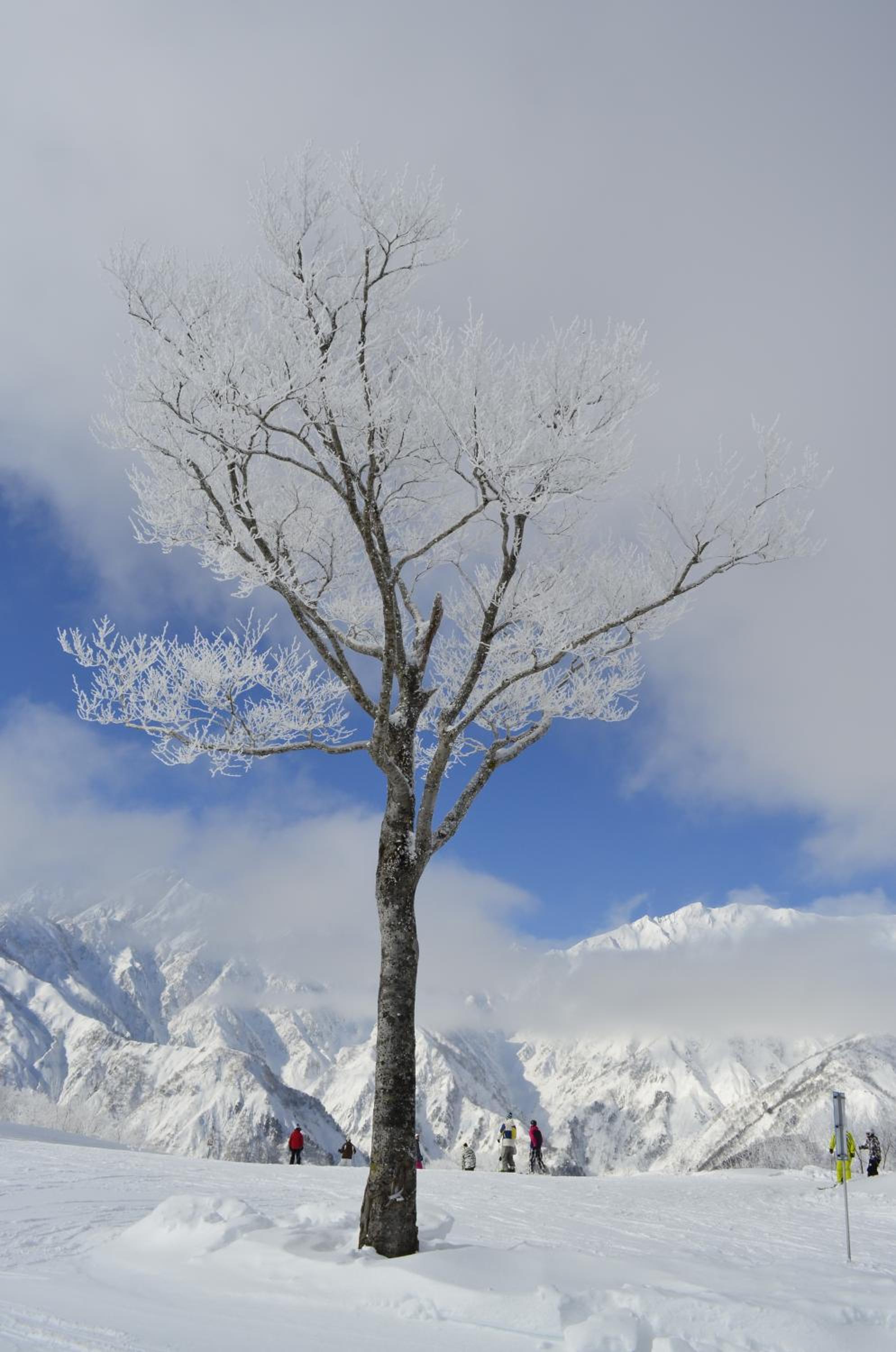 Santana Lodge Hakuba
