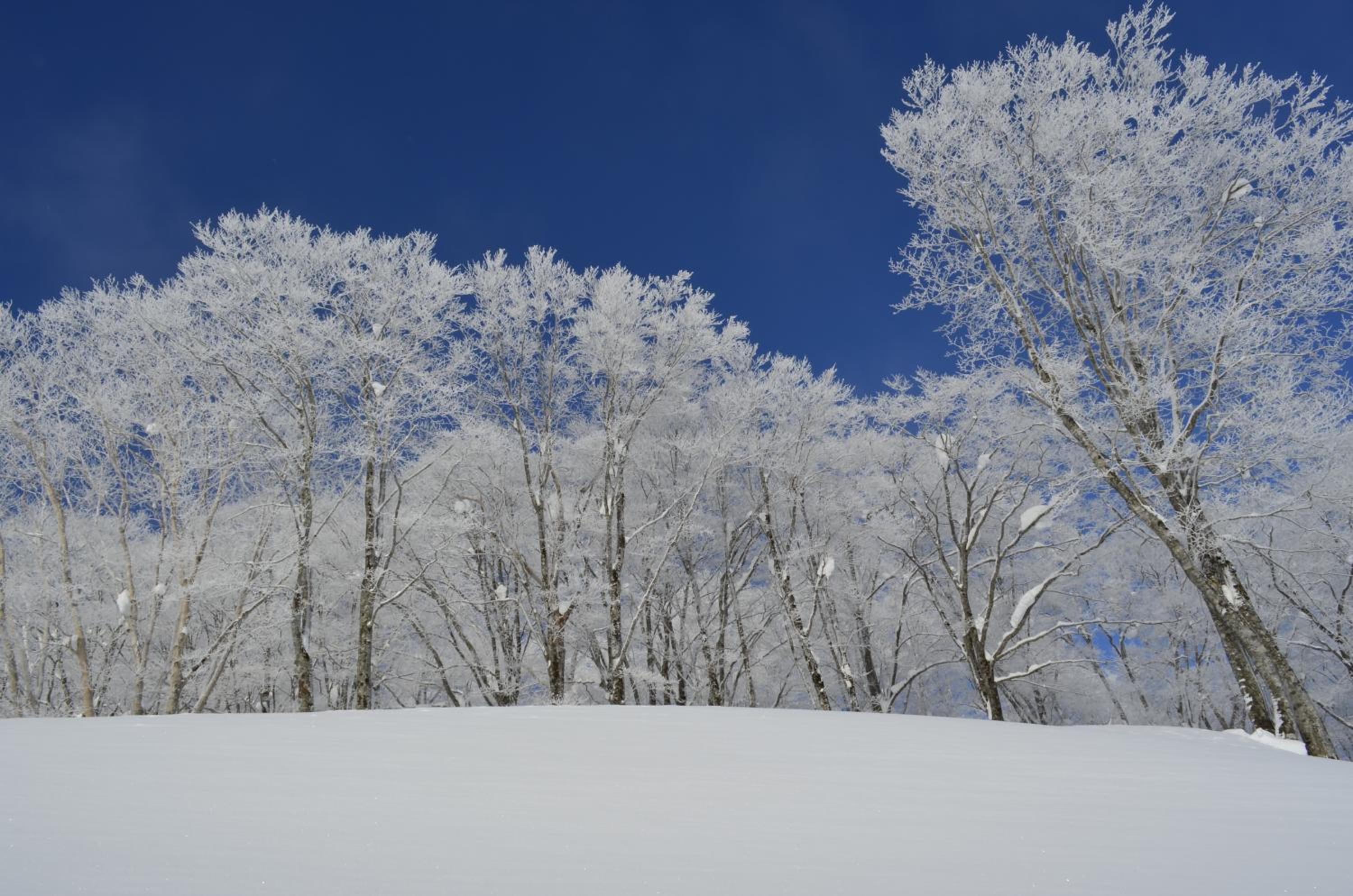 Santana Lodge Hakuba