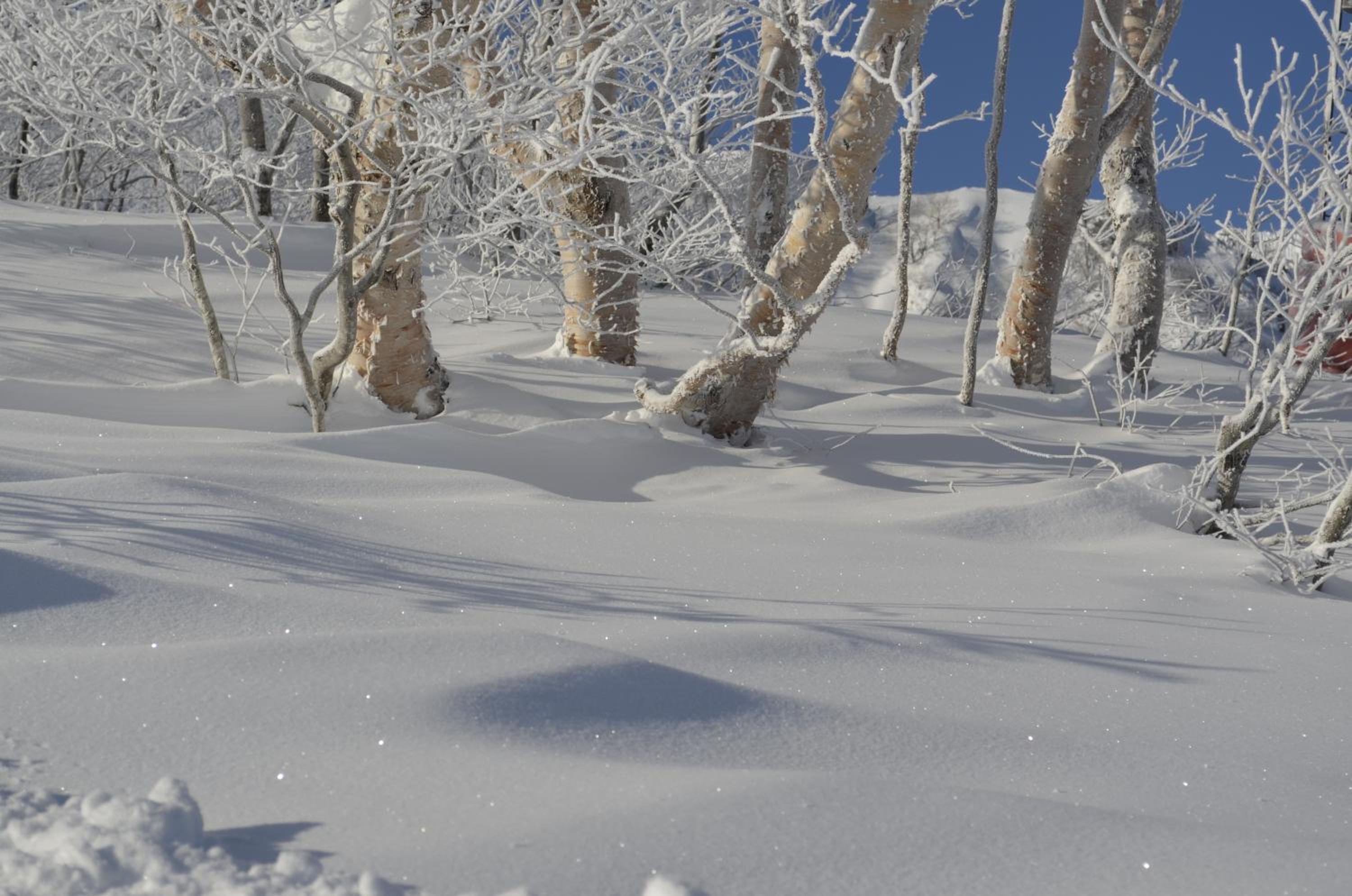 Santana Lodge Hakuba