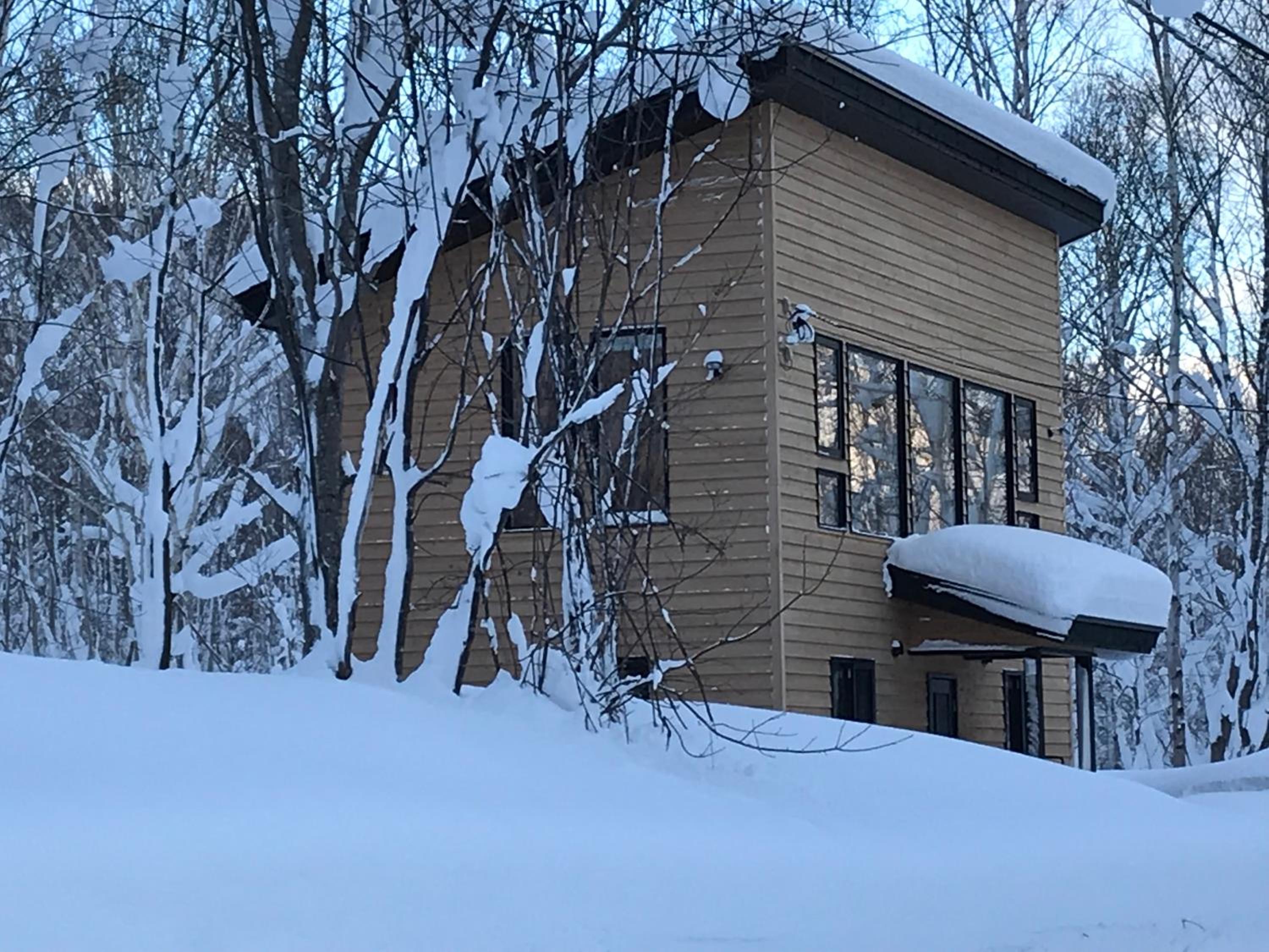 Forest Hideaway