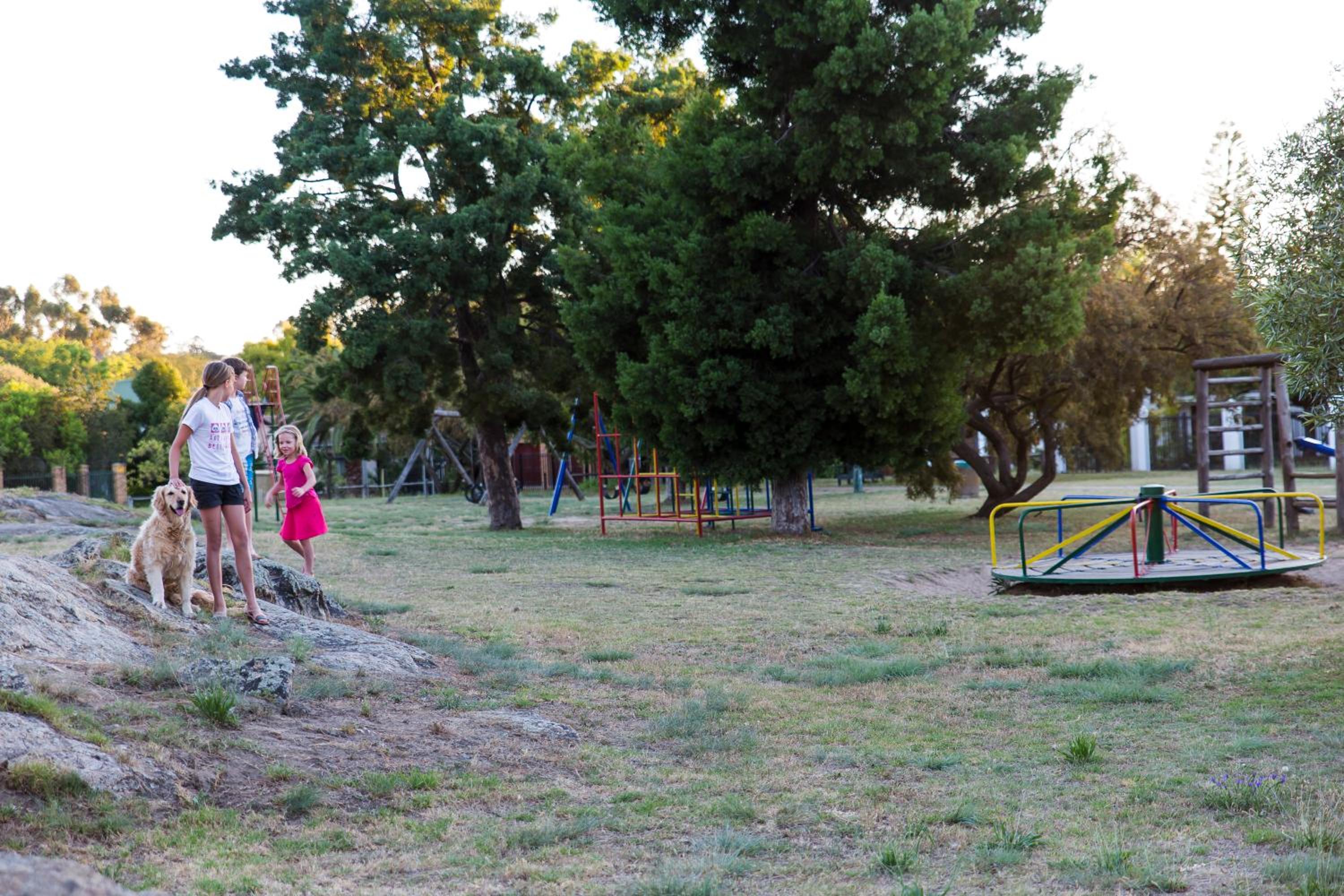 Photo 27