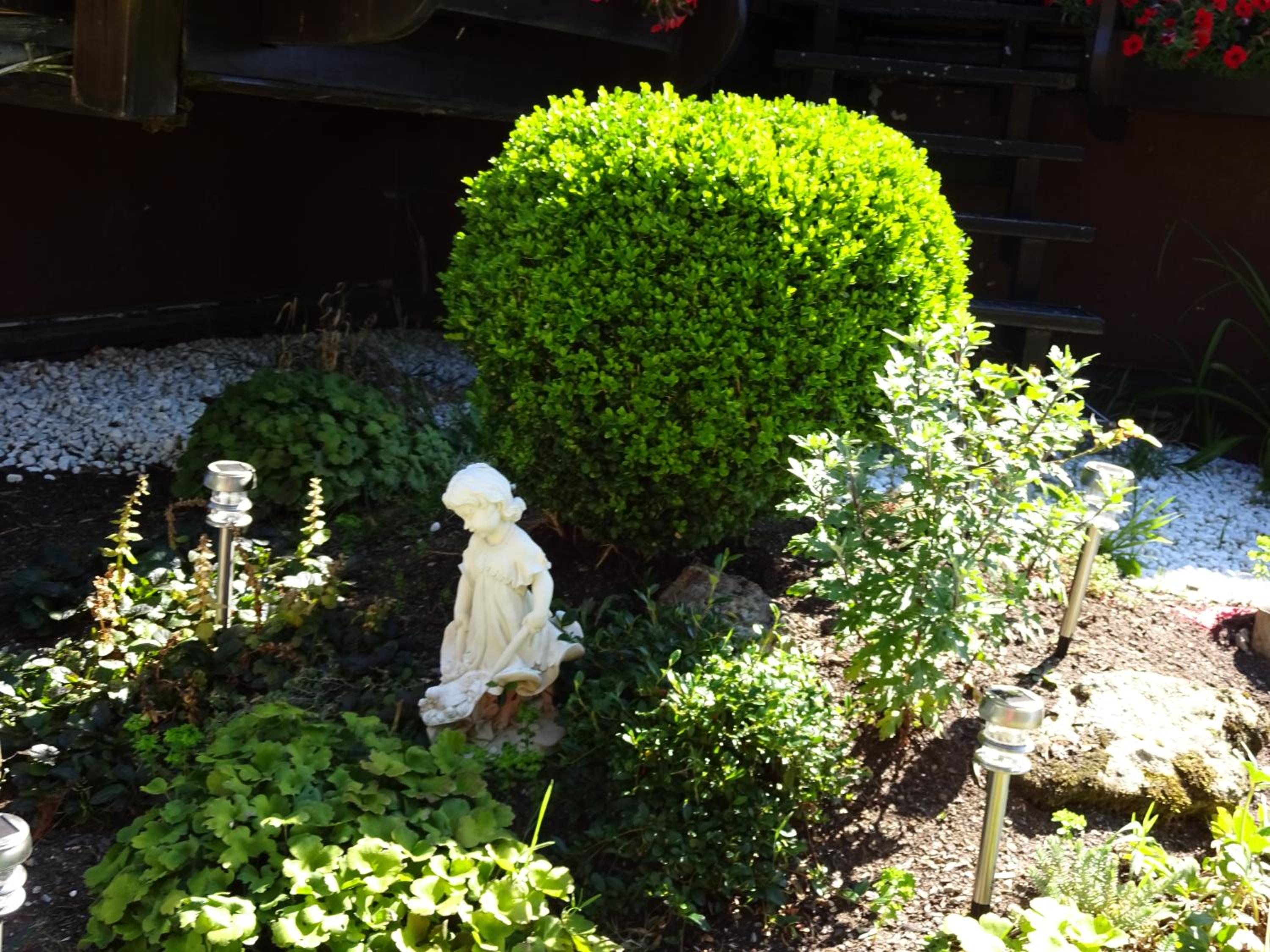 Photo 16