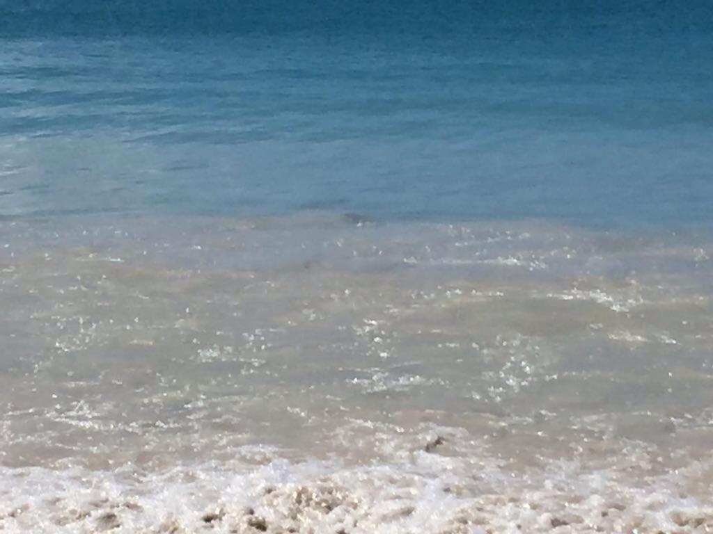 Apto na prainha- arraial do cabo