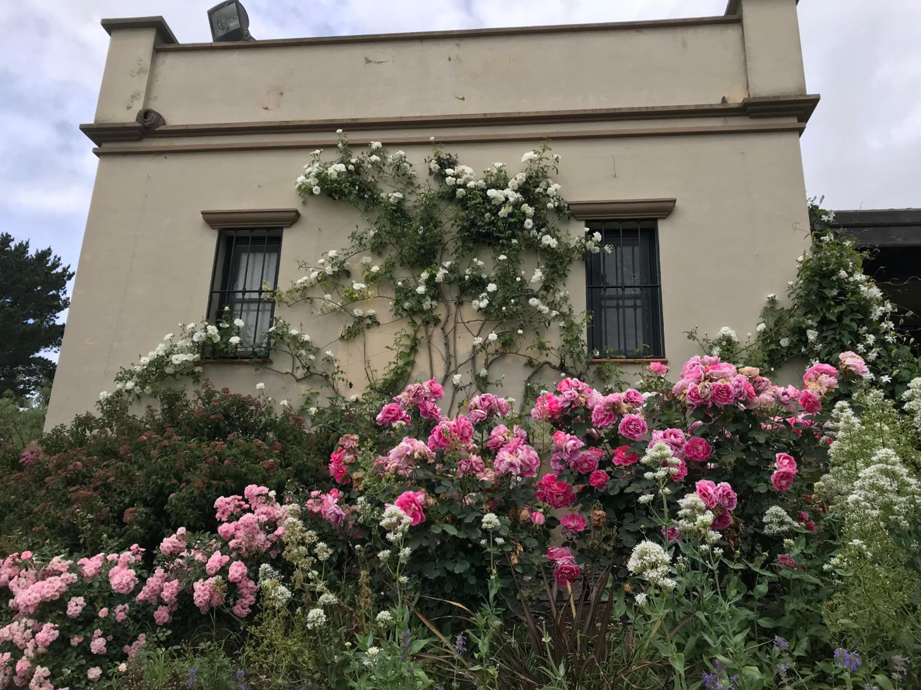 Casa Colonial La Alegria
