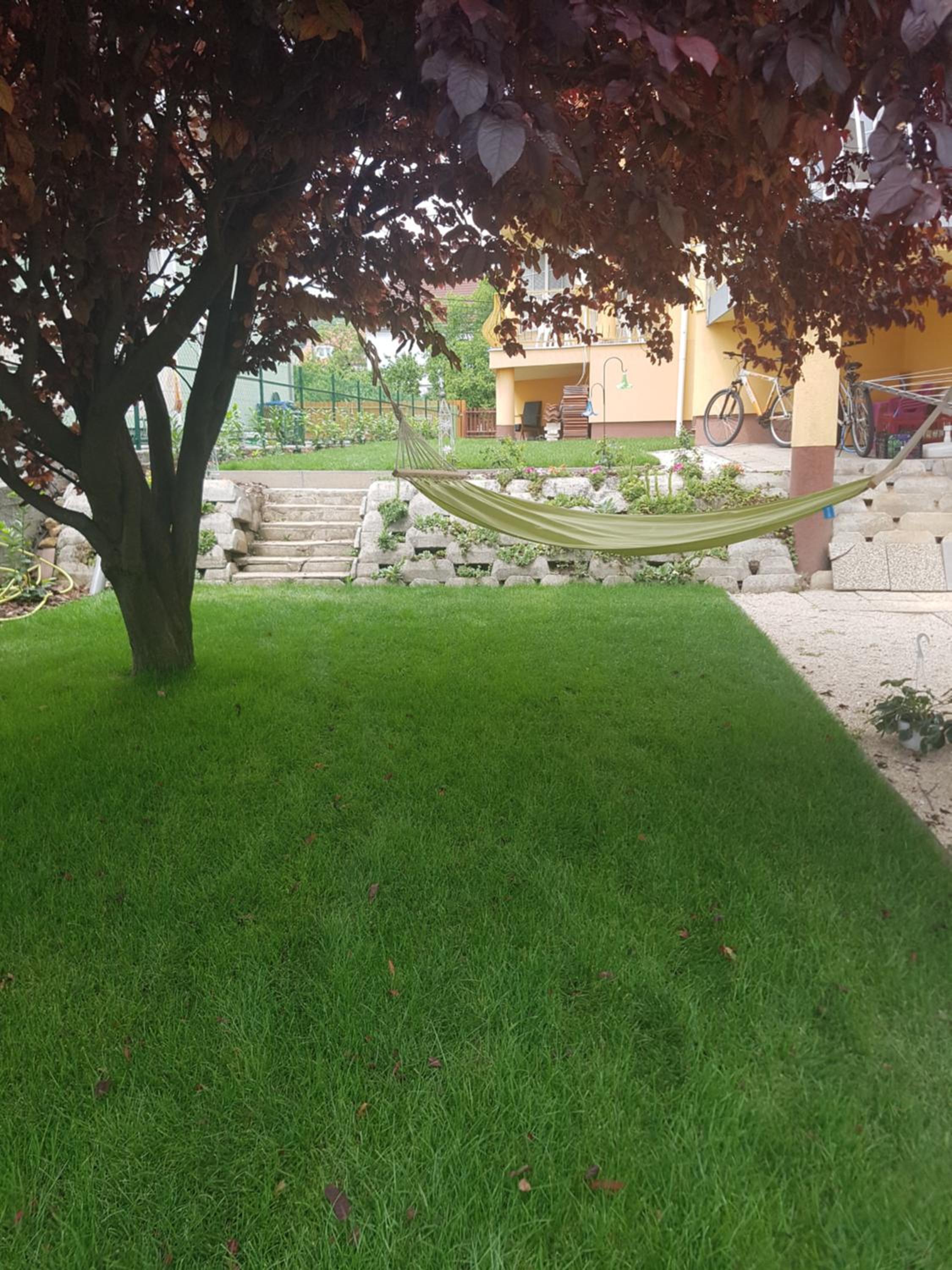 Photo 35