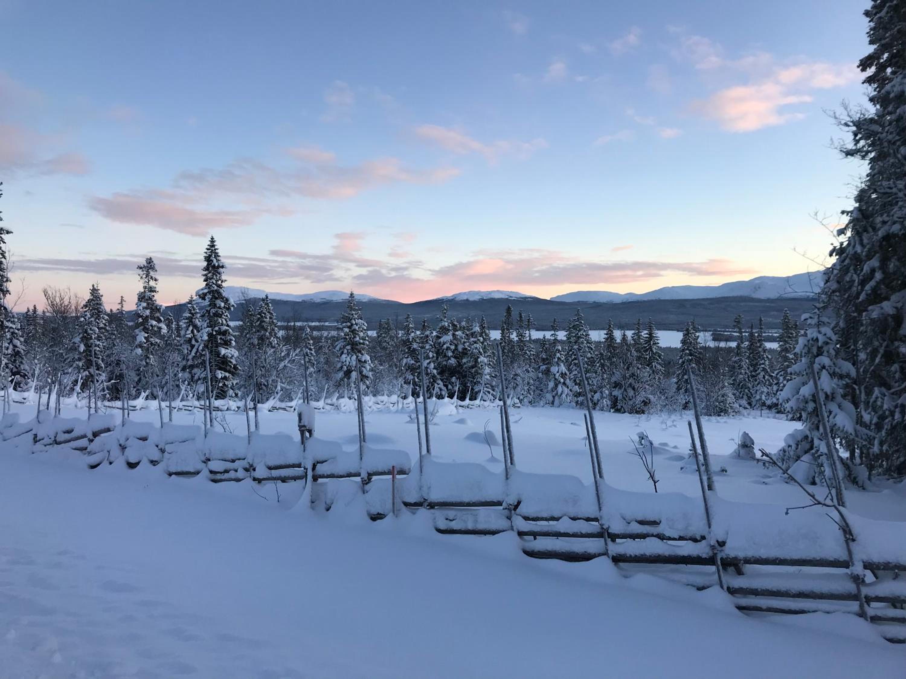 Ottsjö Bear Lodge view 5