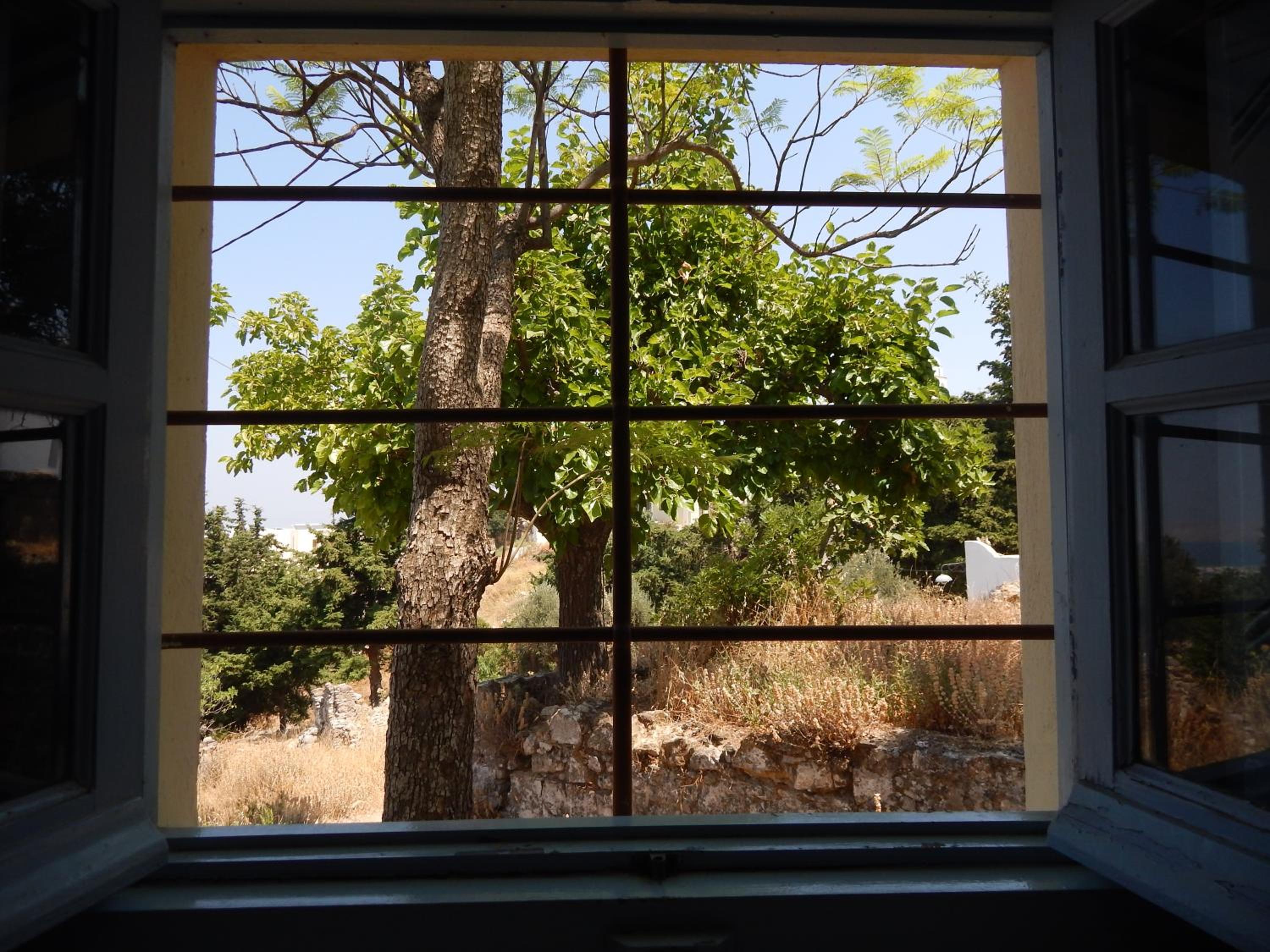 Photo 47