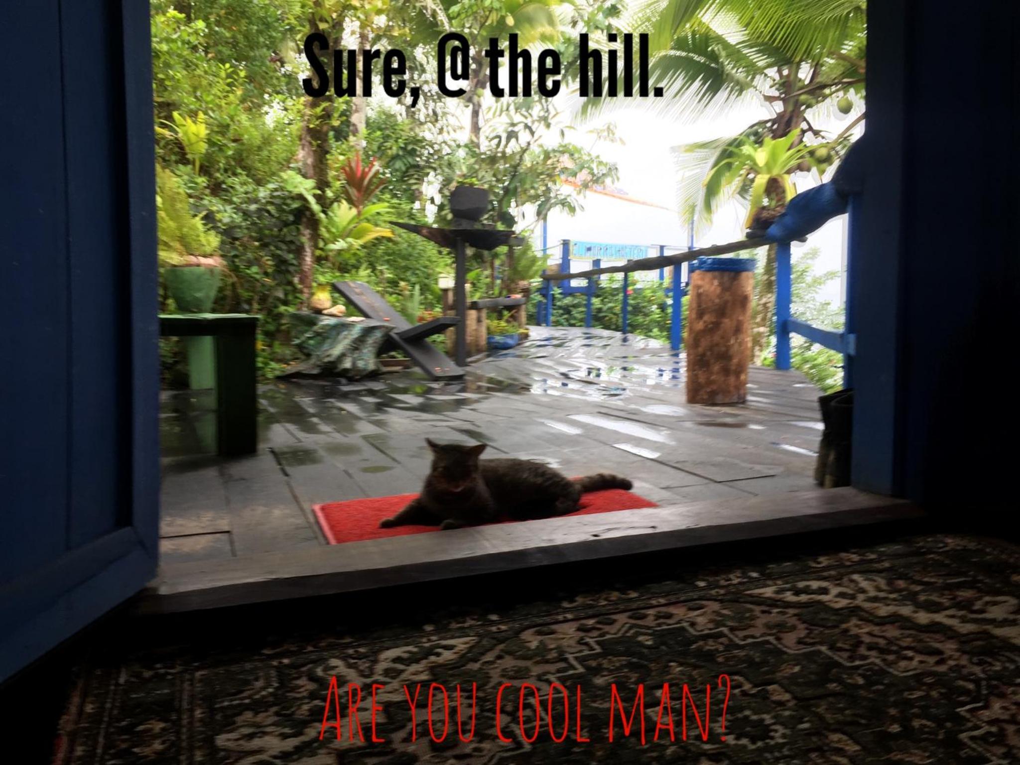 The Hill B&B (El Morro Hosteria)