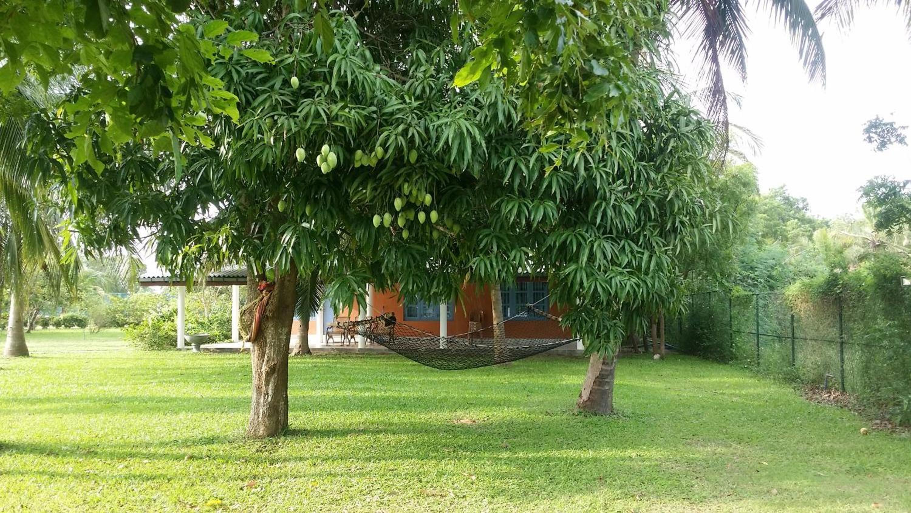Photo 29