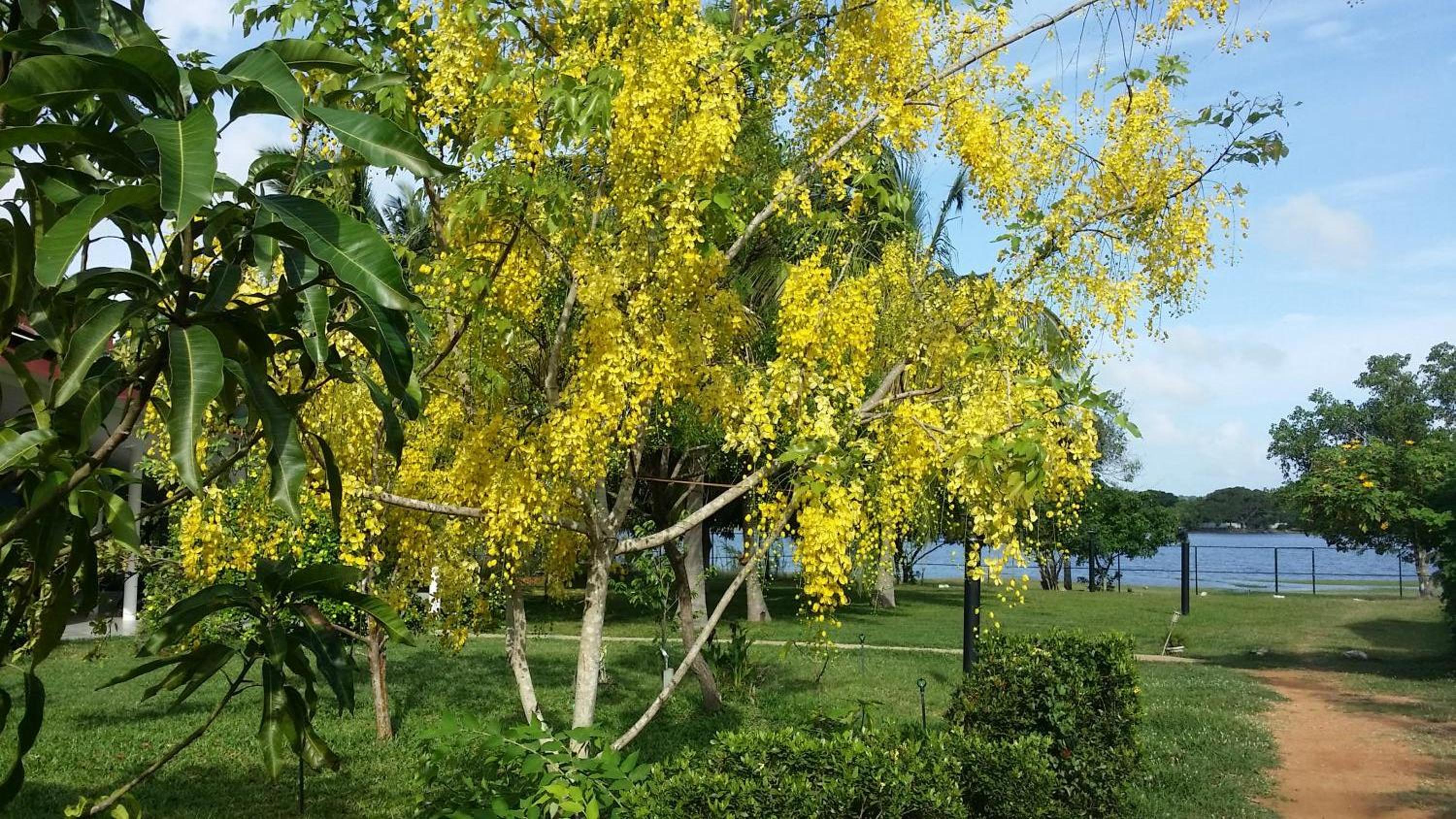 Photo 30