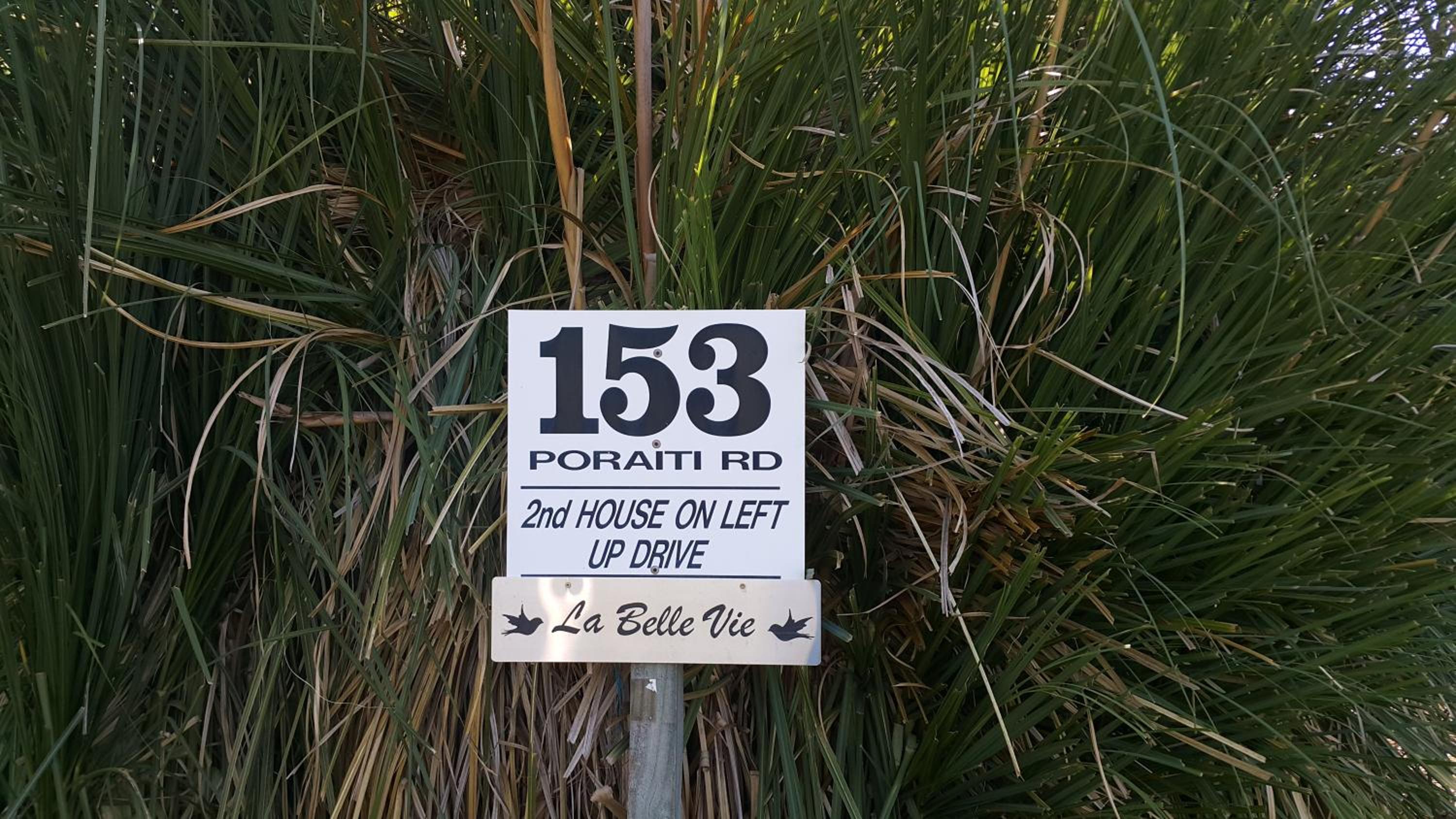 Photo 45