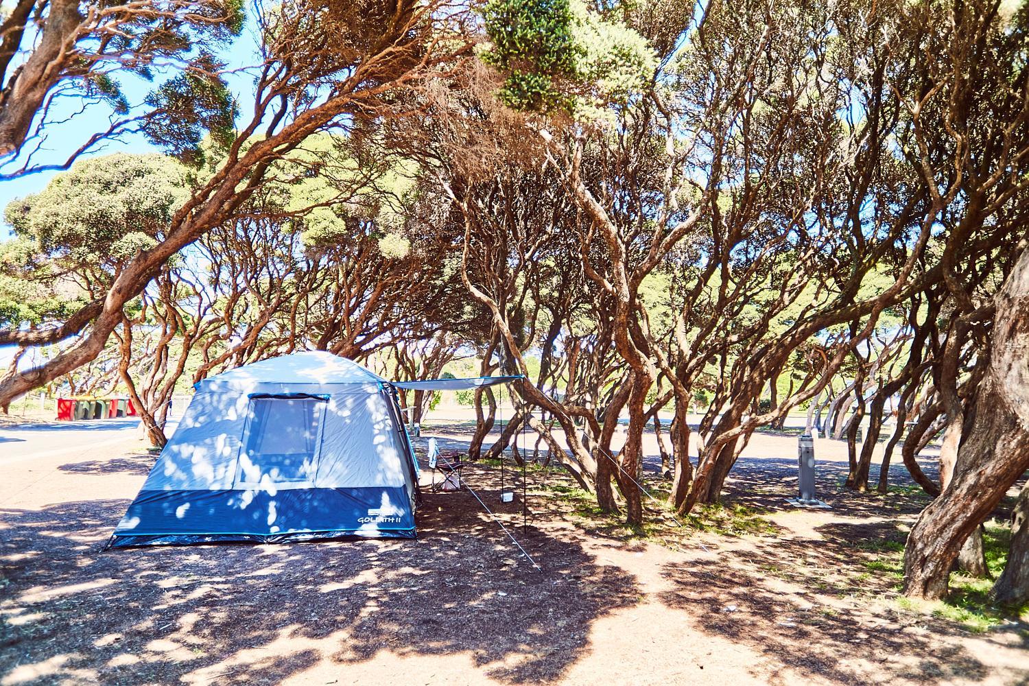 Anglesea Family Caravan Park