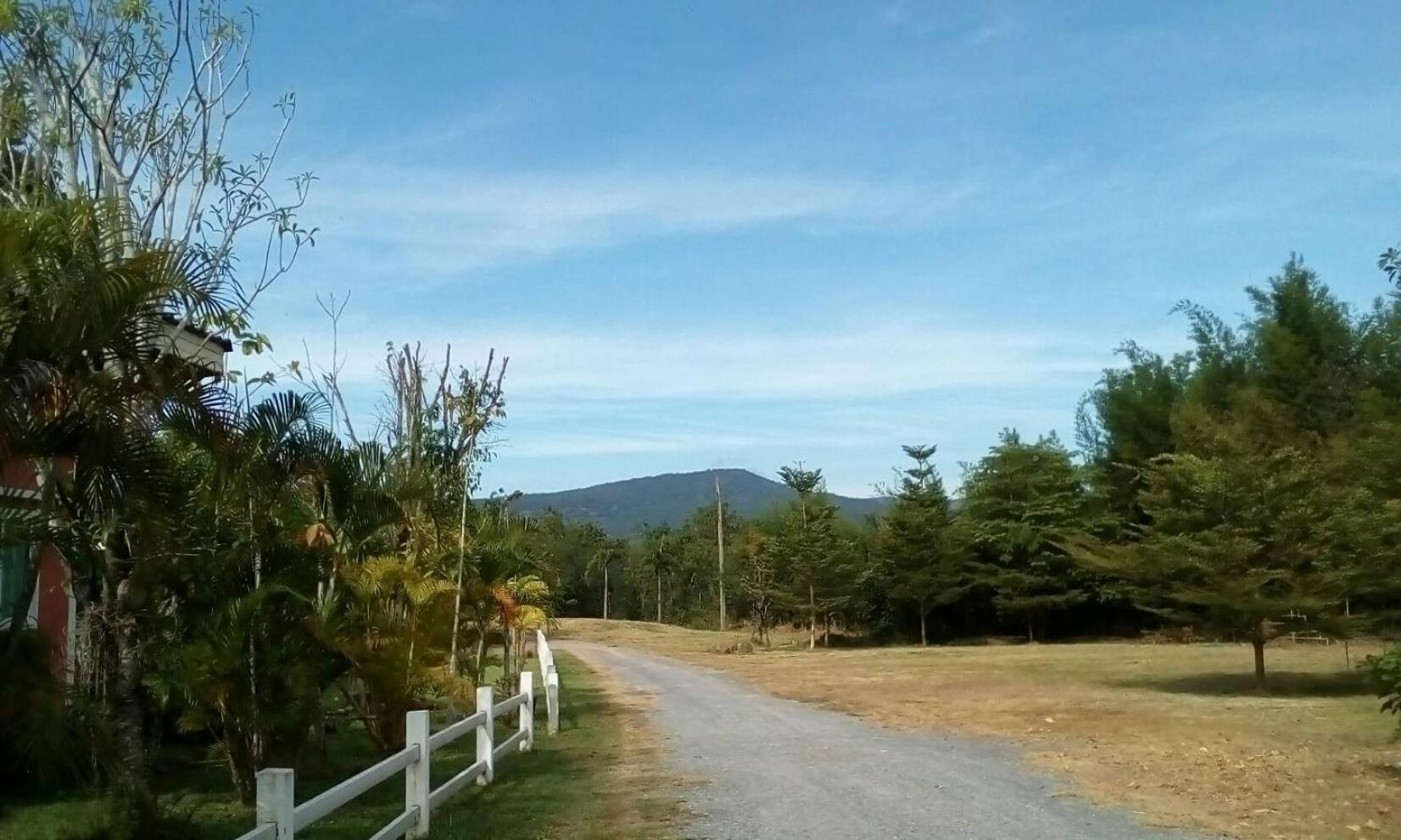 Photo 48