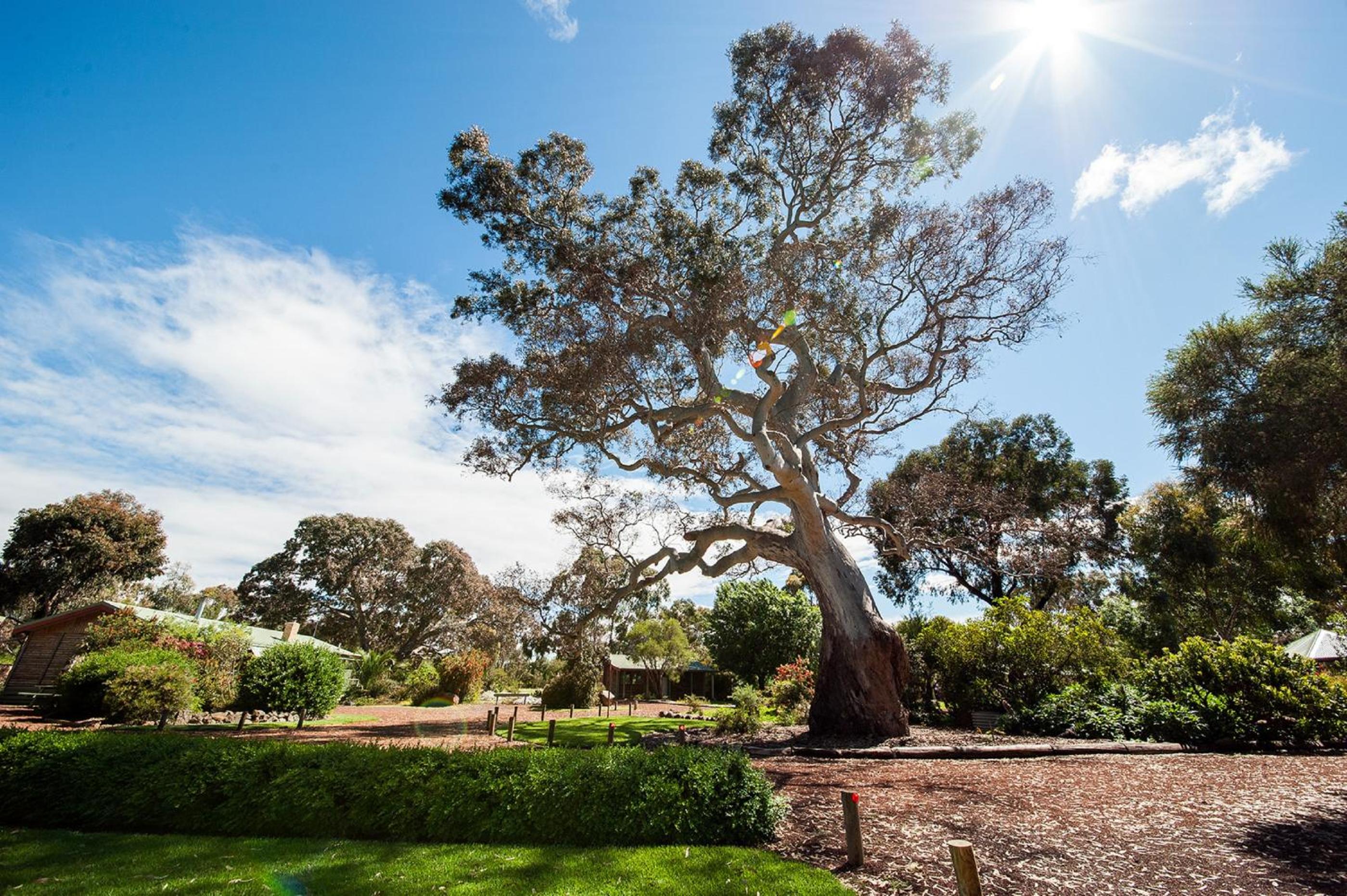 Southern Grampians Cottages