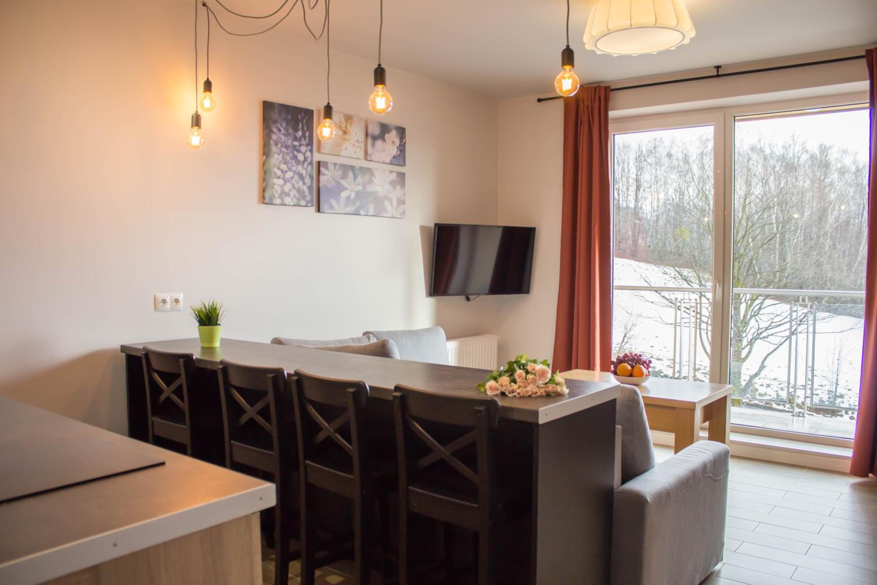Apartamenty Kamienna z widokiem na góry i 2 km do Wyciągu Skolnity - Dream Apart view 5