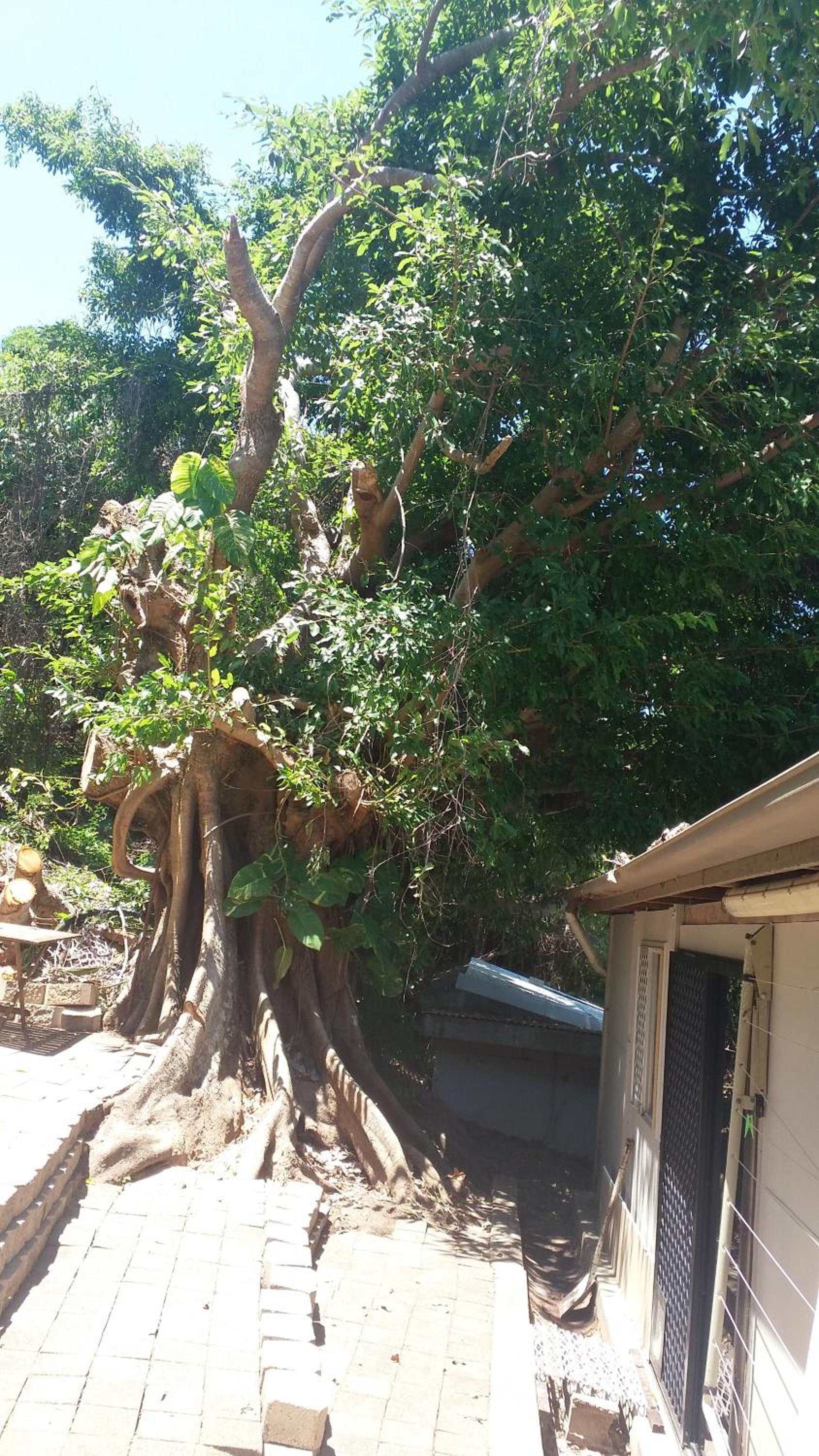 The Beach Shack Yeppoon