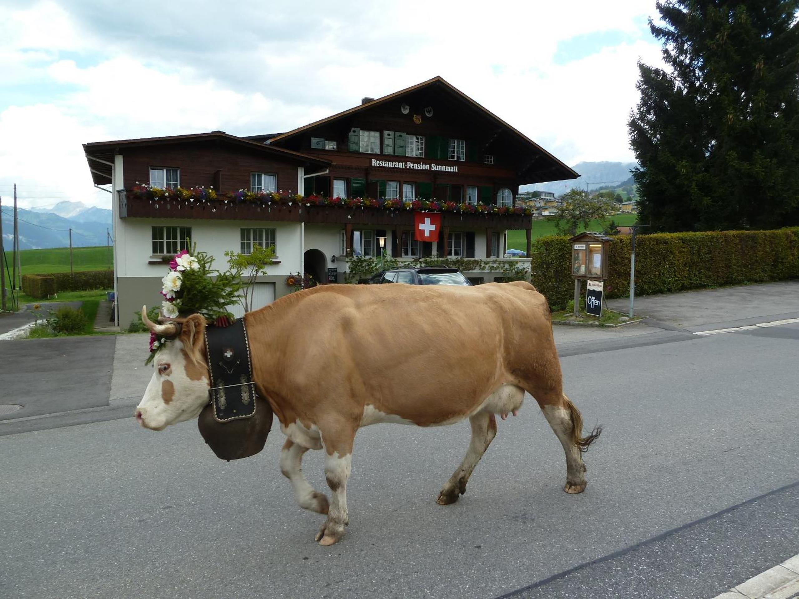 Hotel Restaurant Sunnmatt