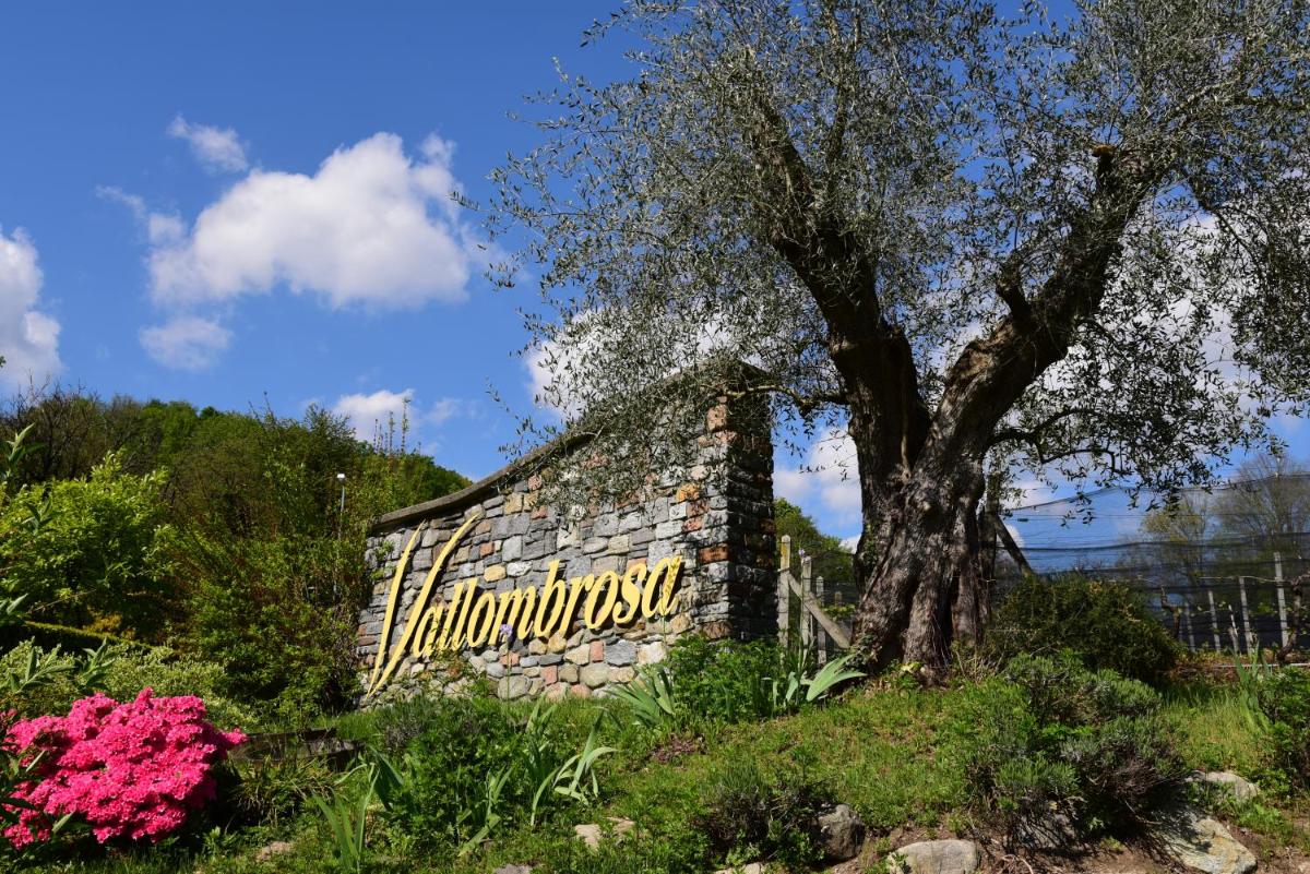 B&B Vallombrosa
