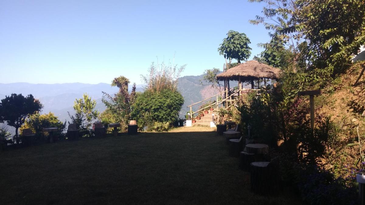 Photo 19