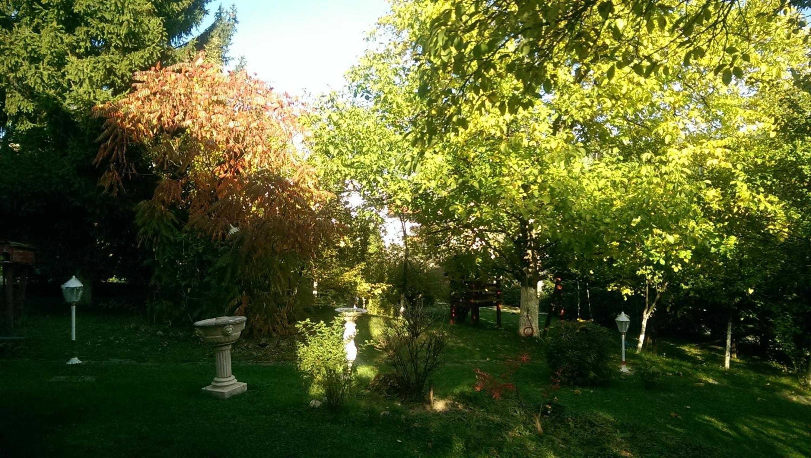 Green Garden