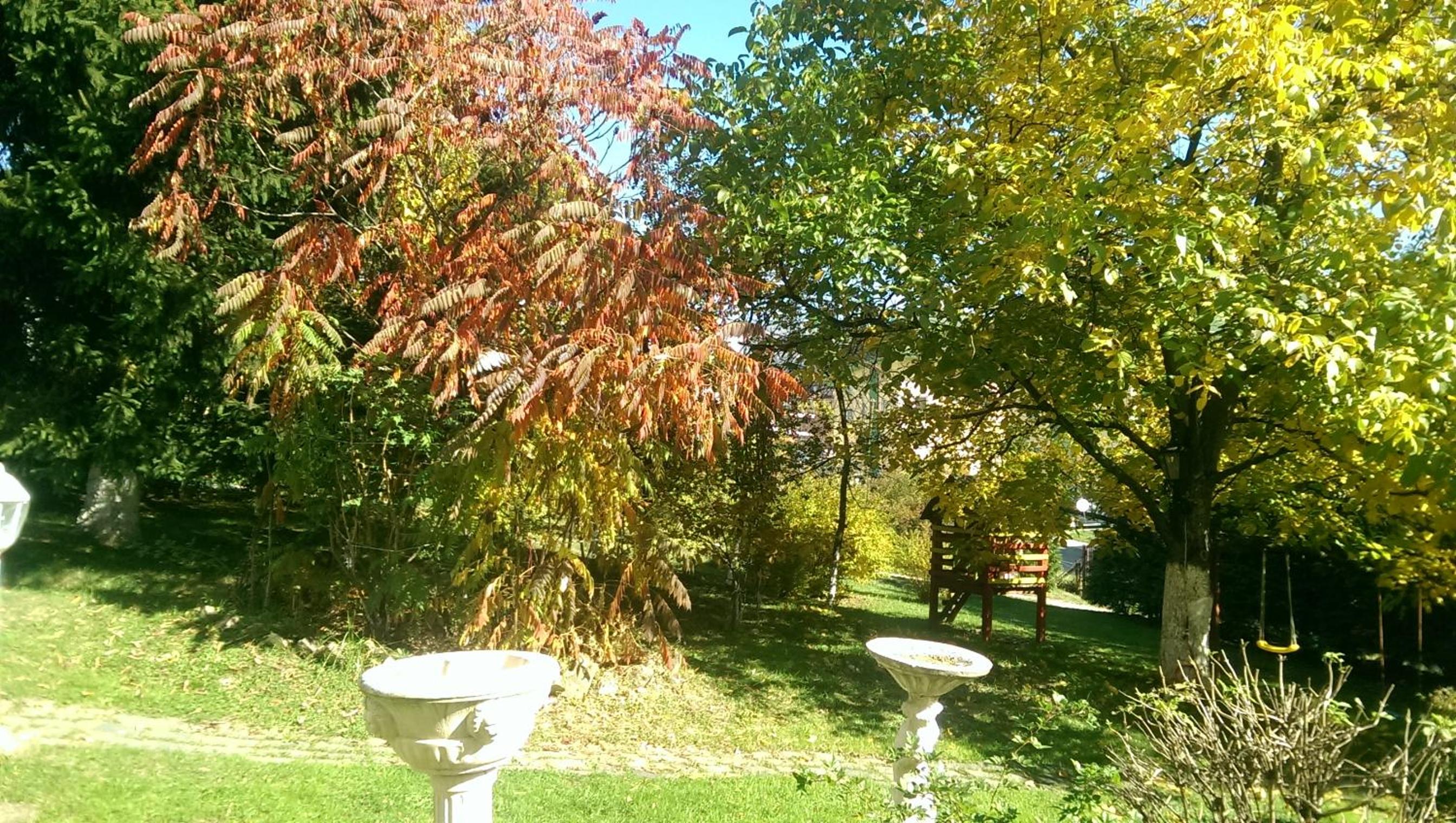 Green Garden