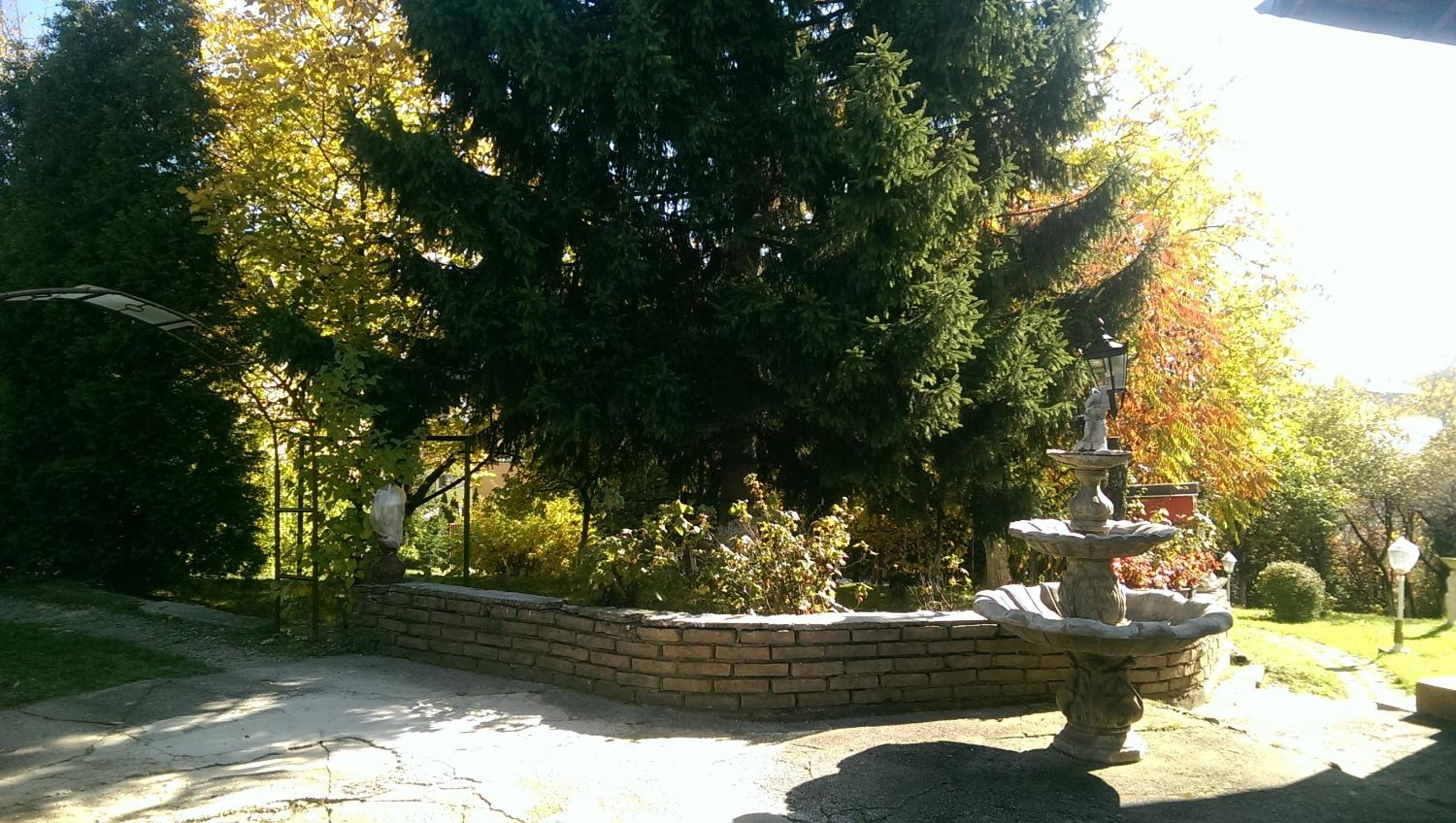Green Garden