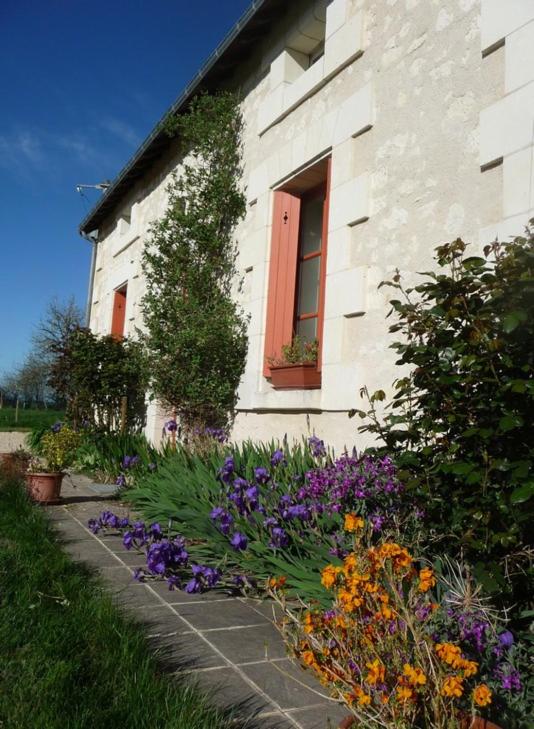 La maison des fleurs view 3