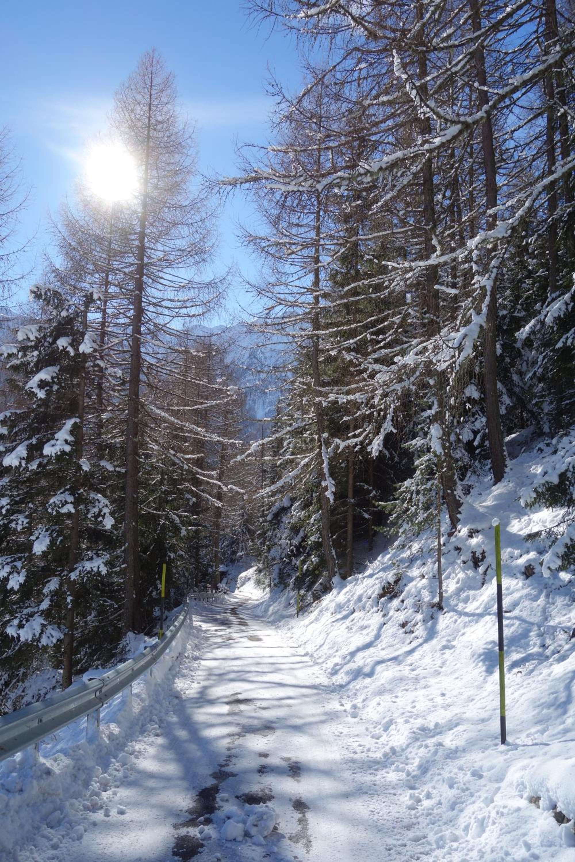 Ferienhütte Premstlahof view 3