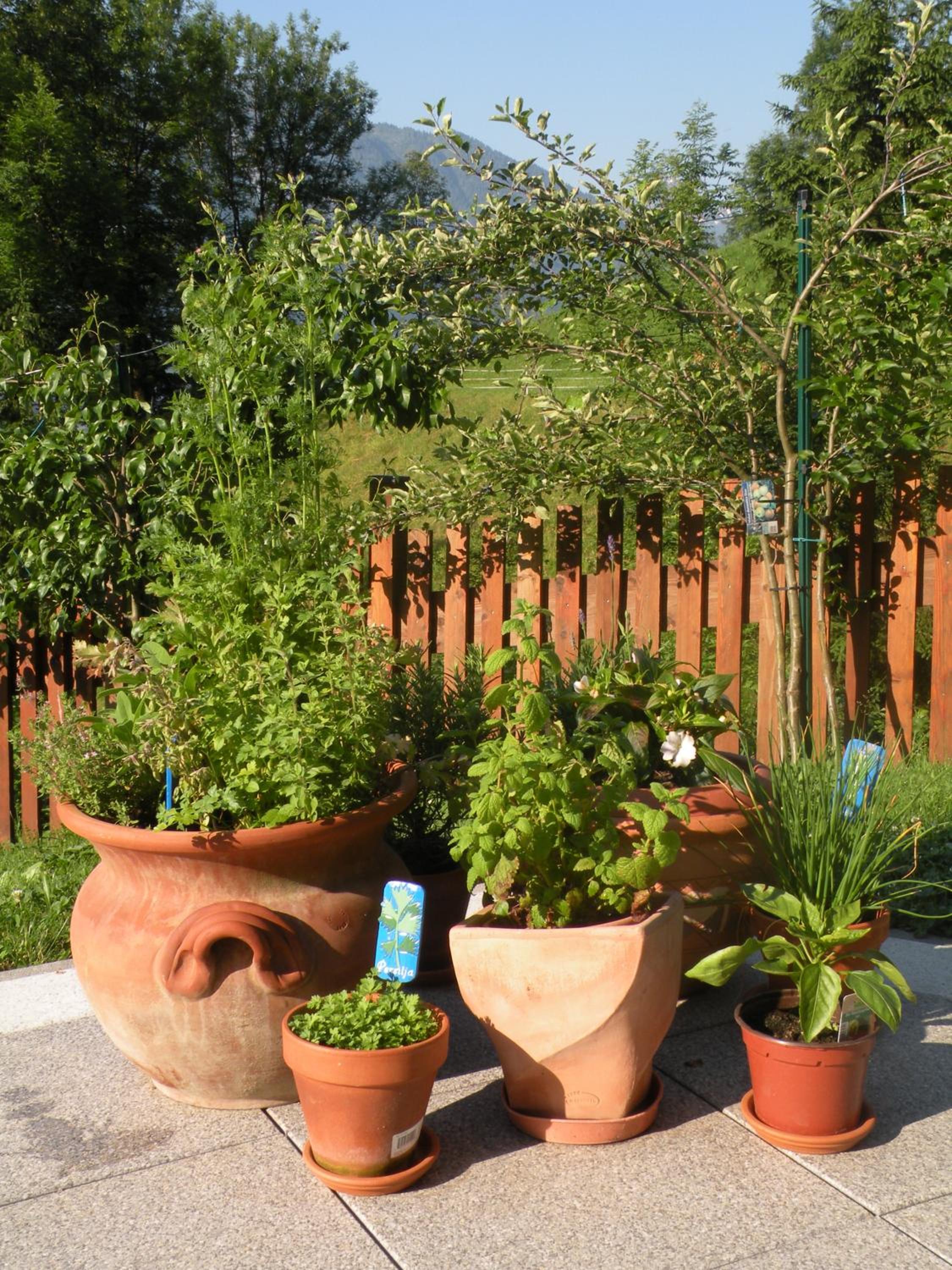Birnbacher-appartement