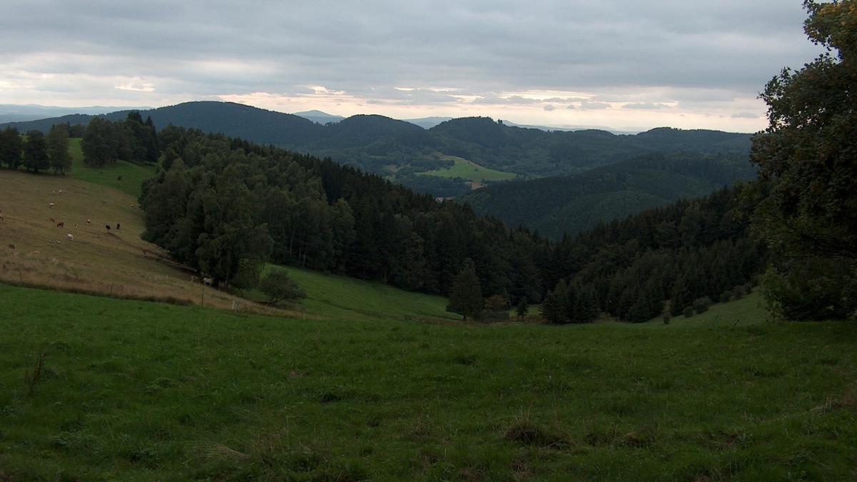 Ferienwohnung Trollmann