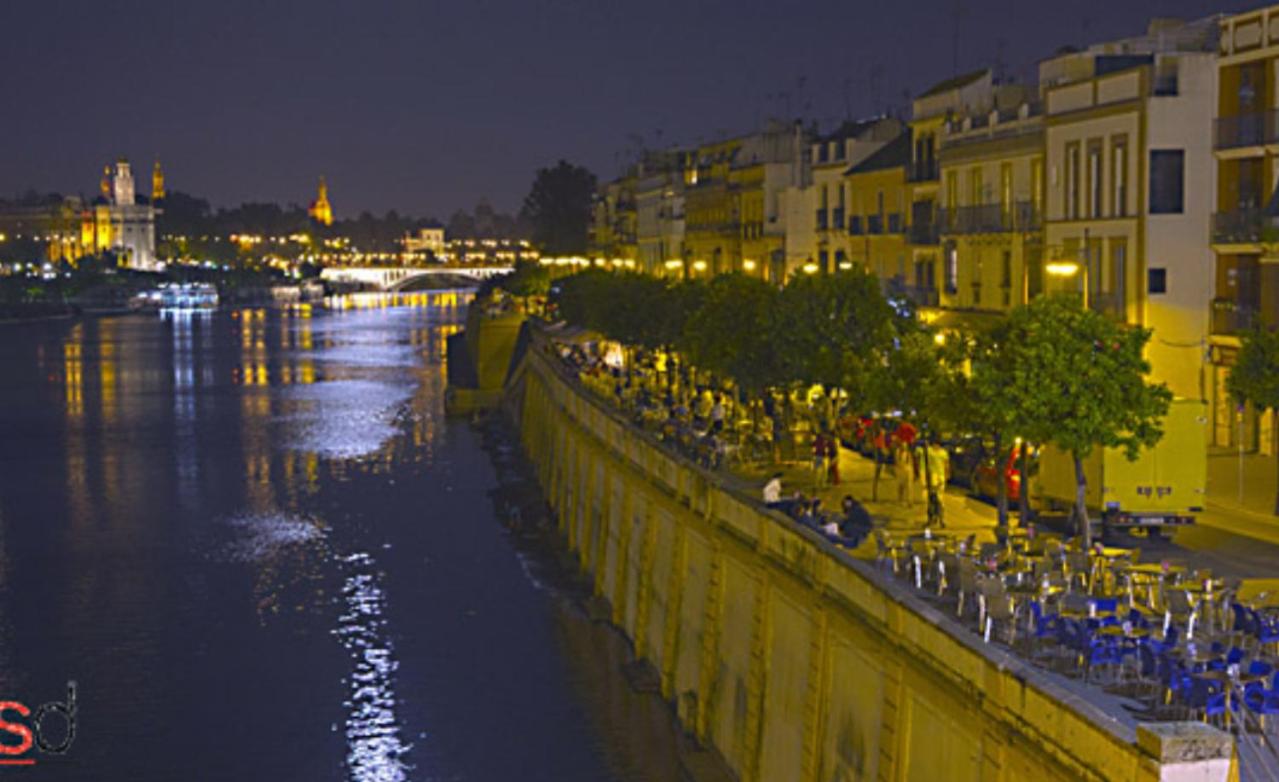 Triana view 4