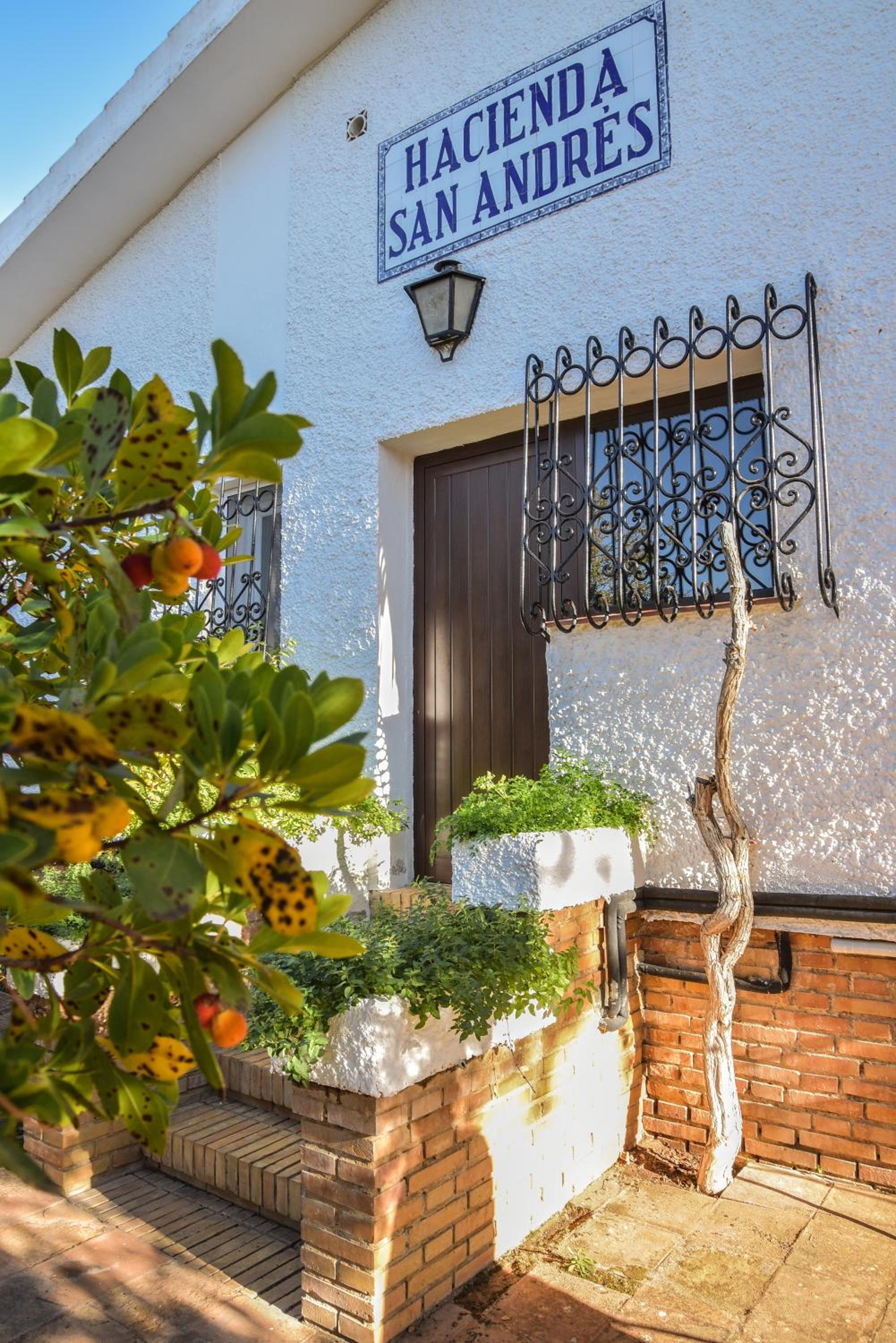 Recreo San Andrés