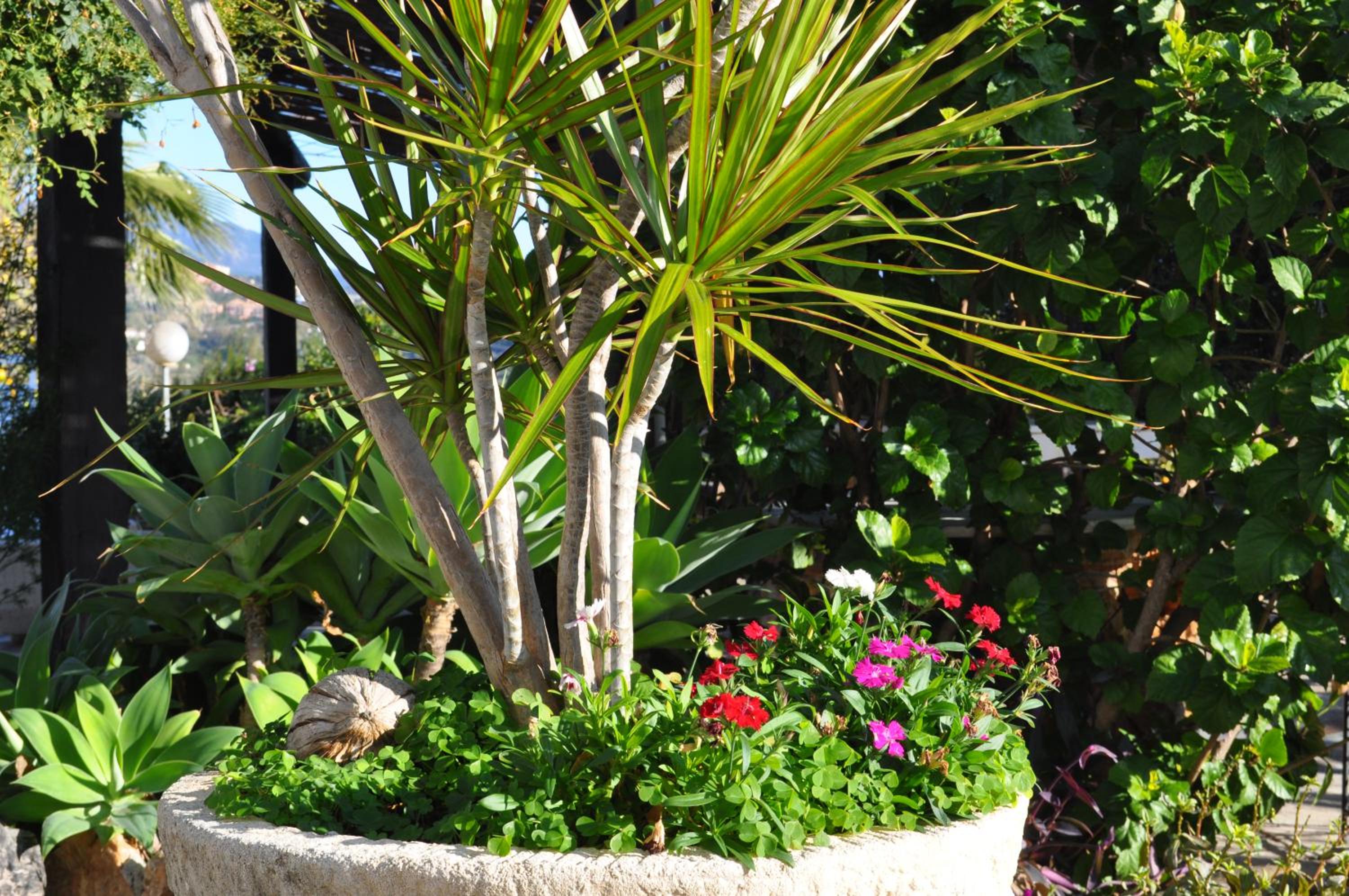Photo 20